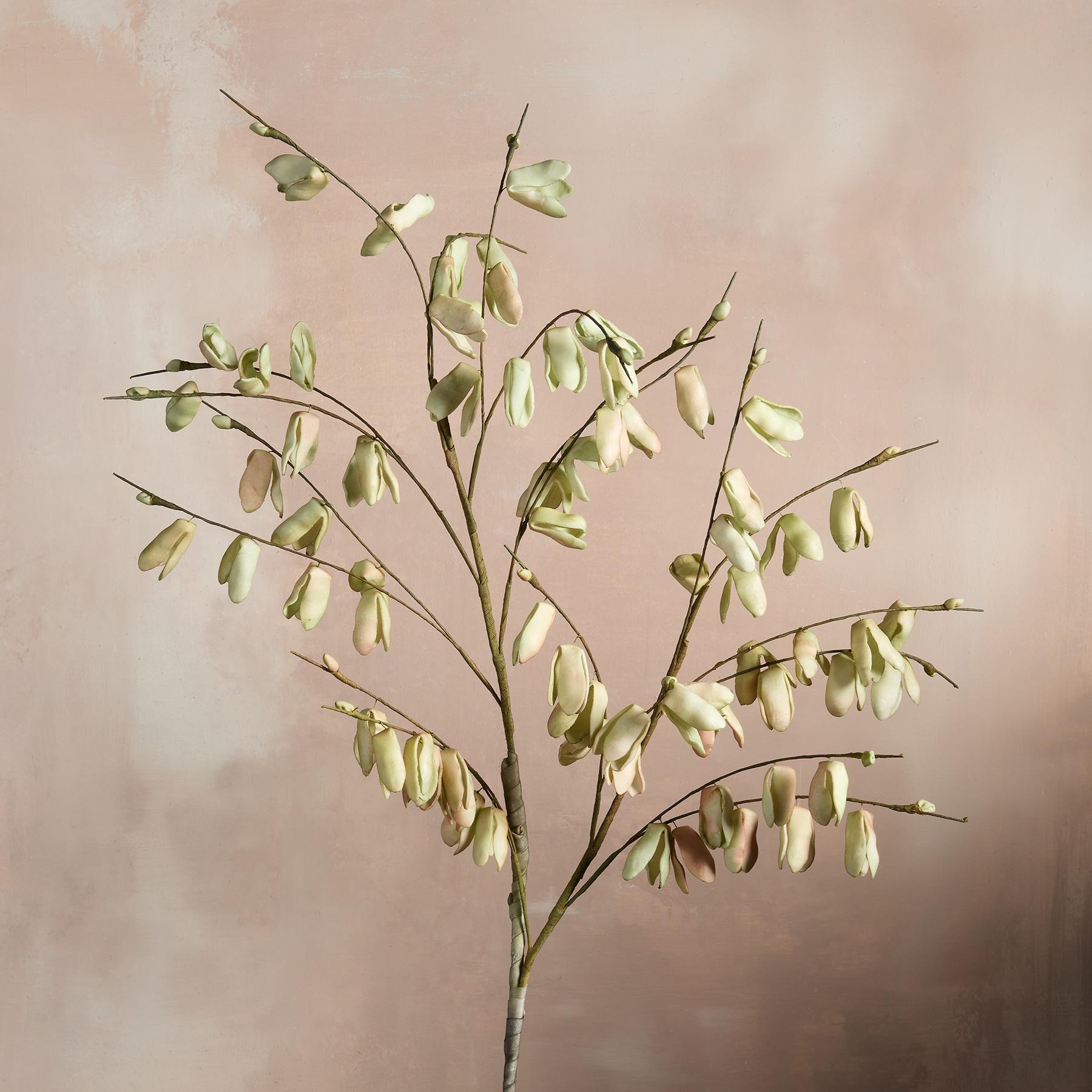 sundance-Bountiful Botanicals-Sundance Outlet