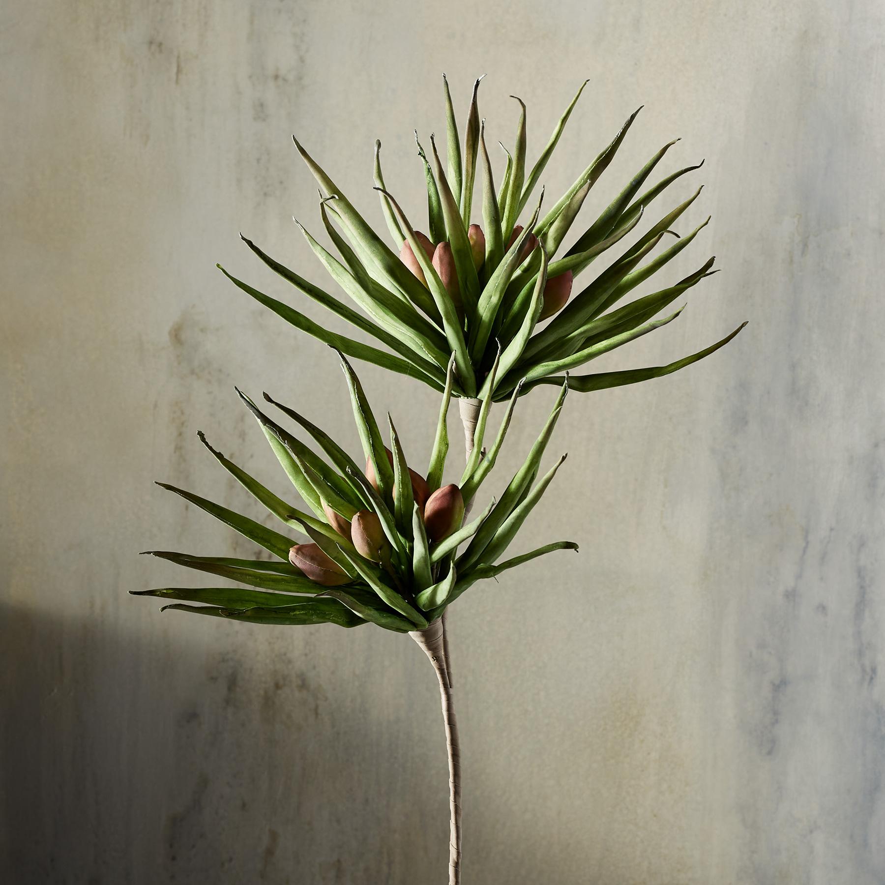 sundance-Bountiful Botanicals-Sundance Outlet