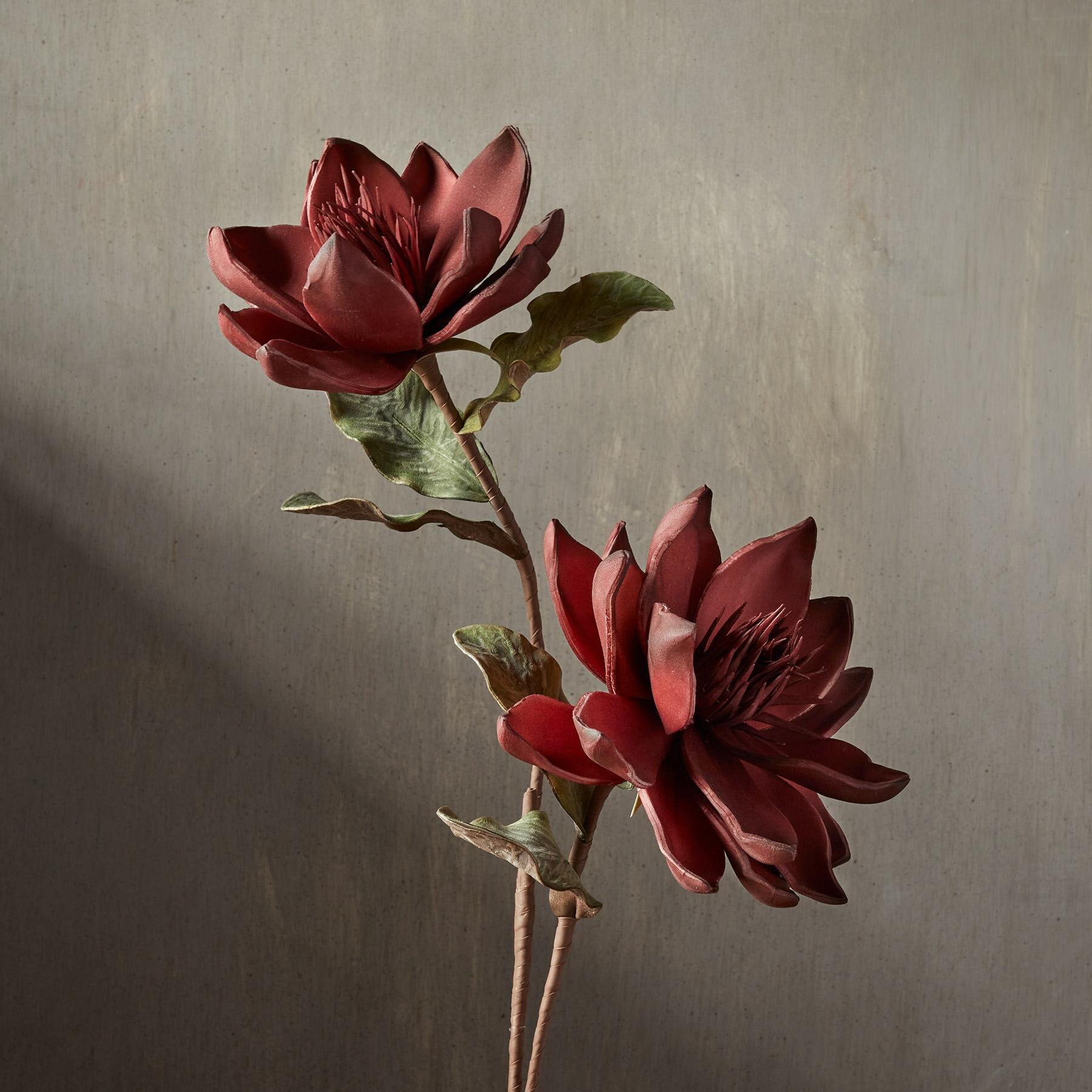 sundance-Bountiful Botanicals-Sundance Outlet