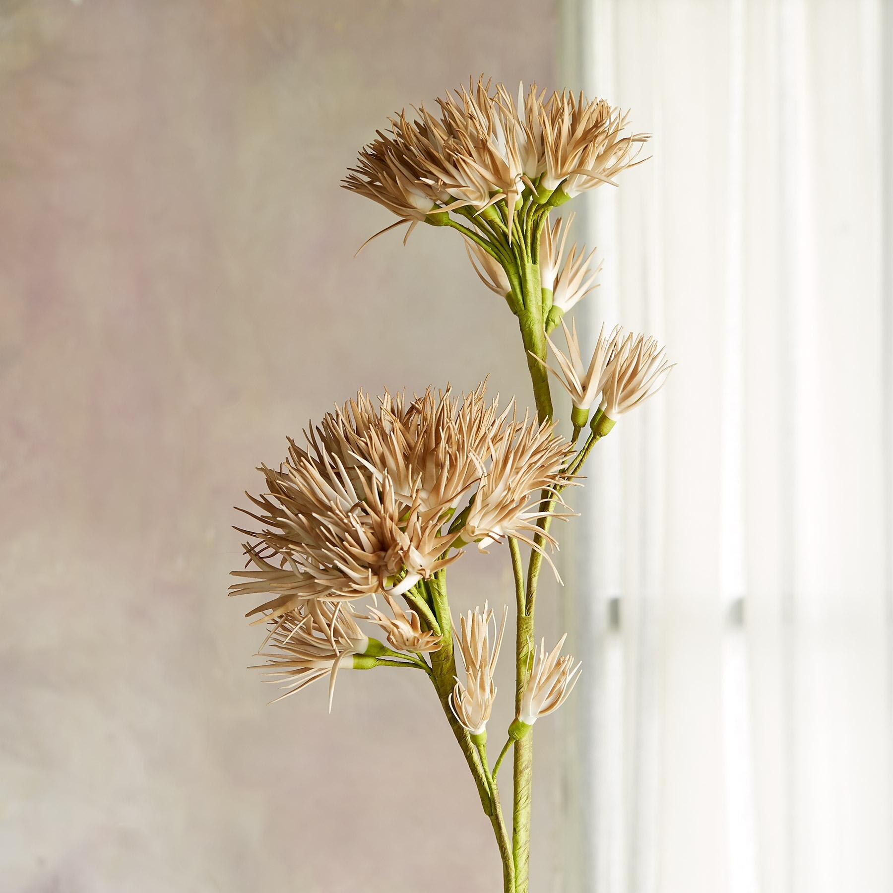 sundance-Bountiful Botanicals-Sundance Outlet