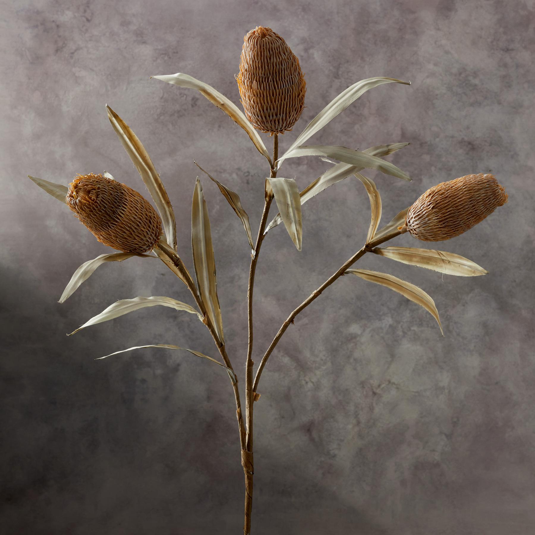 sundance-Bountiful Botanicals-Sundance Outlet