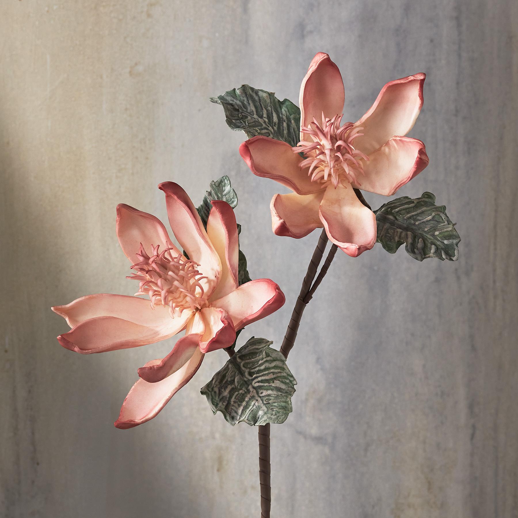 sundance-Bountiful Botanicals-Sundance Outlet