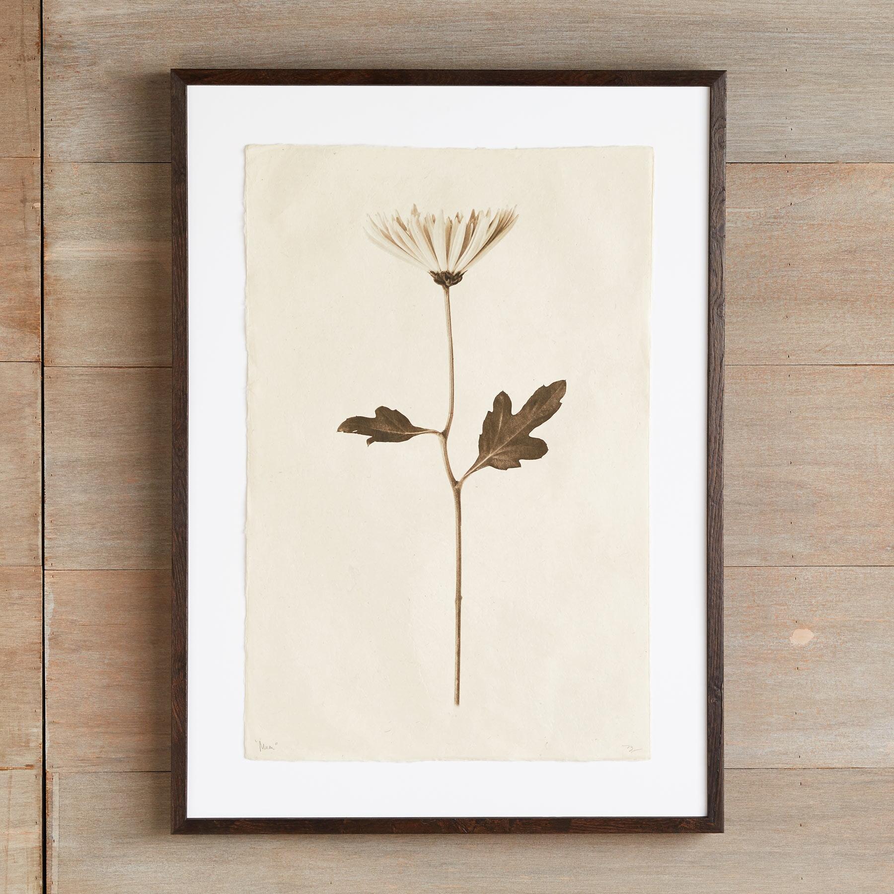 sundance-Flower Studies Print-Sundance Outlet