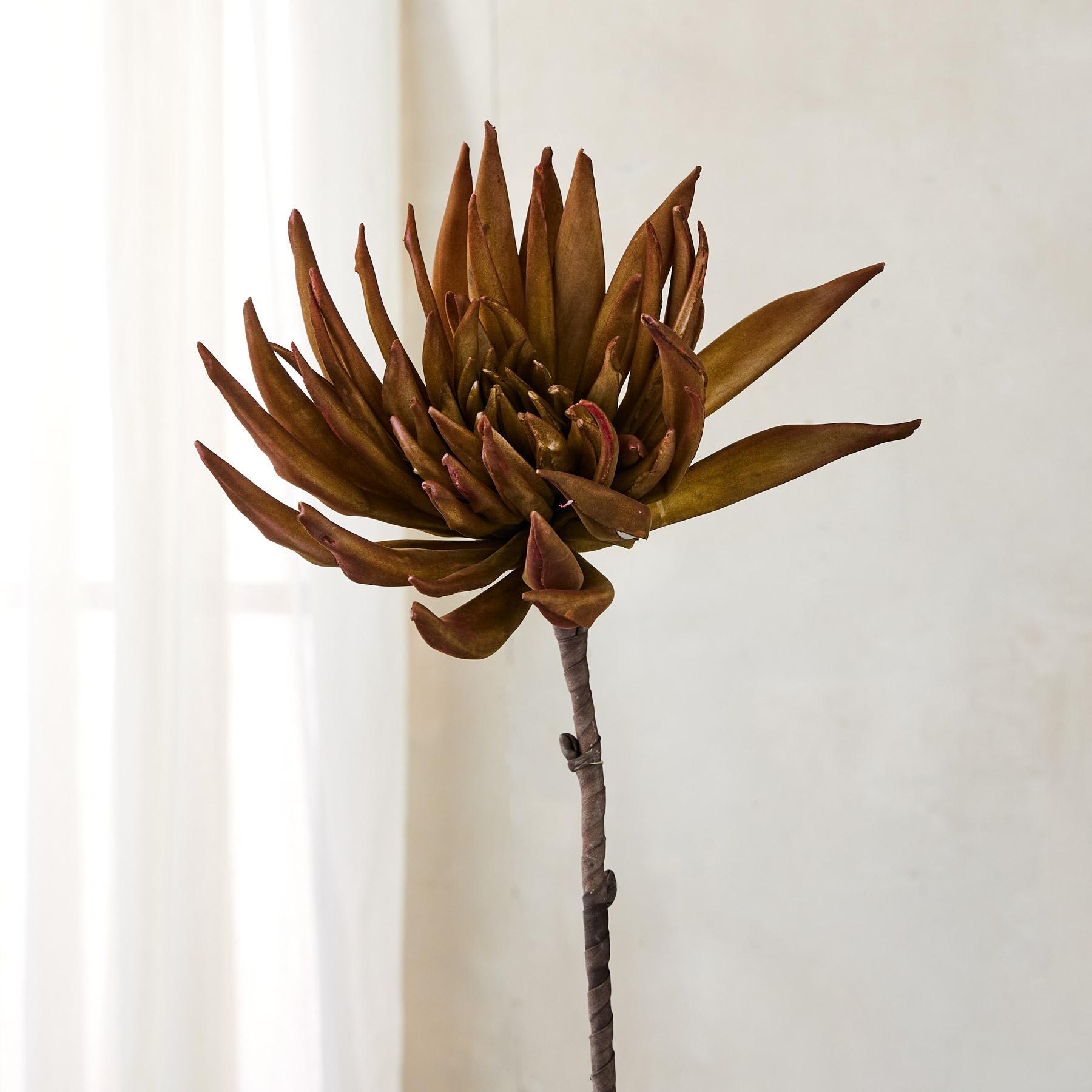 sundance-Bountiful Botanicals-Sundance Outlet