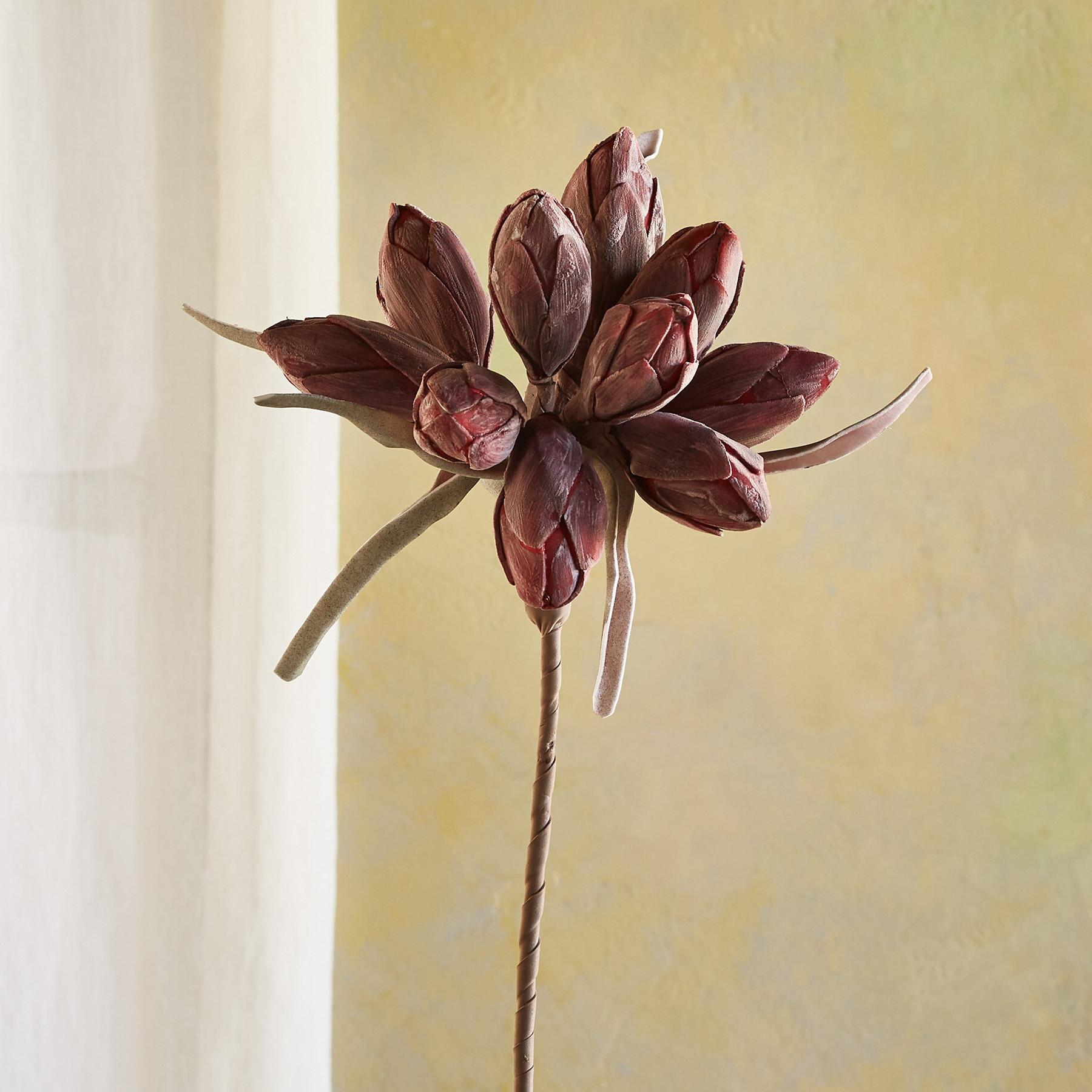 sundance-Bountiful Botanicals-Sundance Outlet