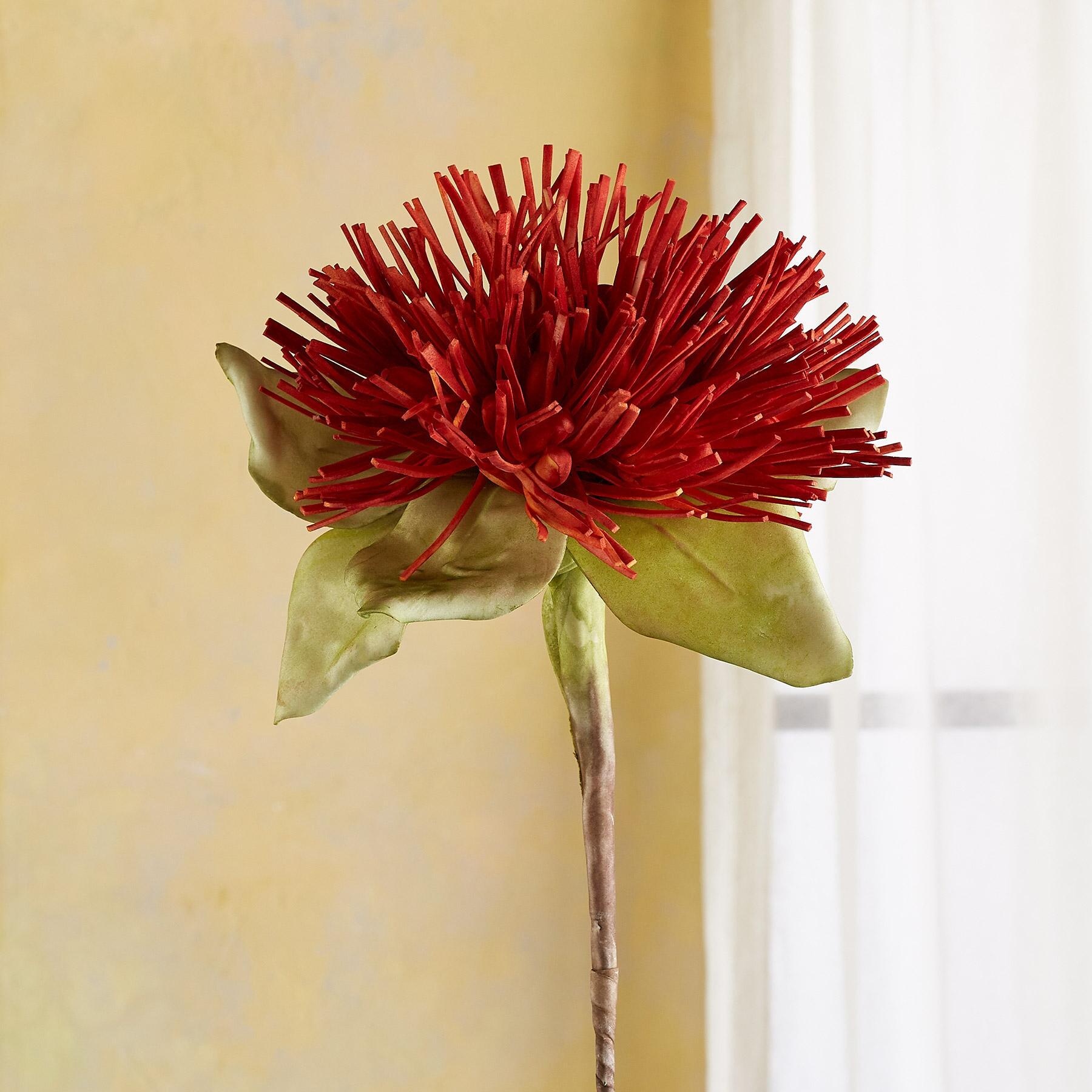 sundance-Bountiful Botanicals-Sundance Outlet