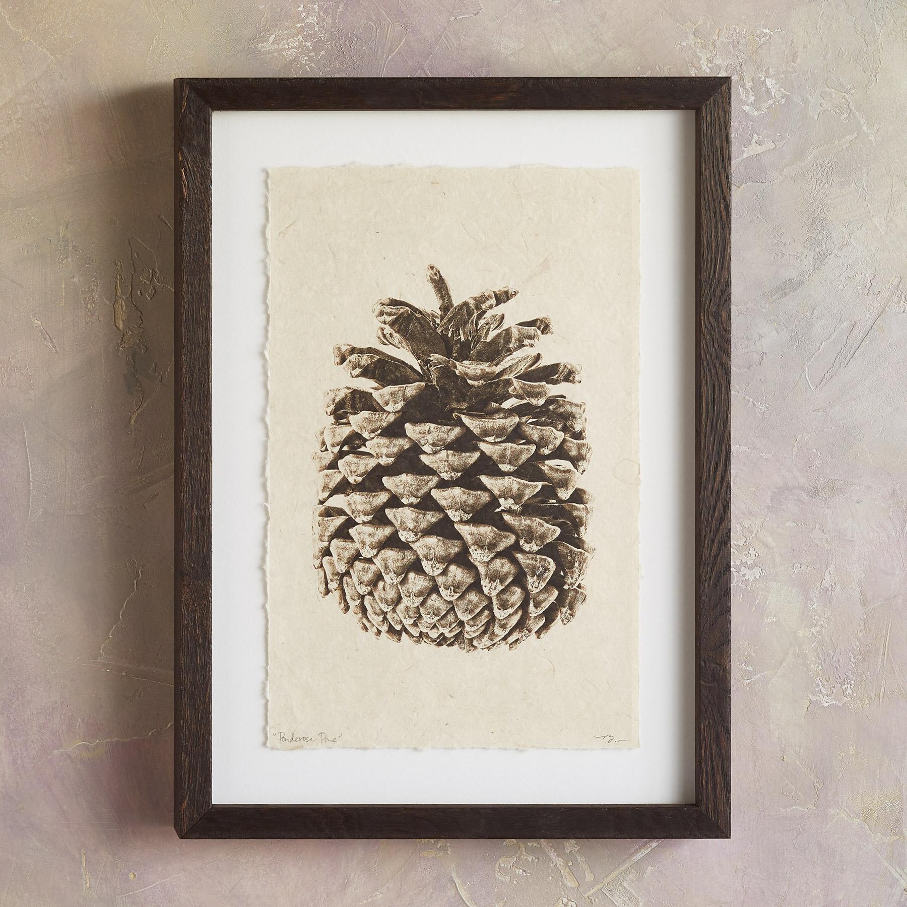sundance-Pinecone Studies Print-Sundance Outlet