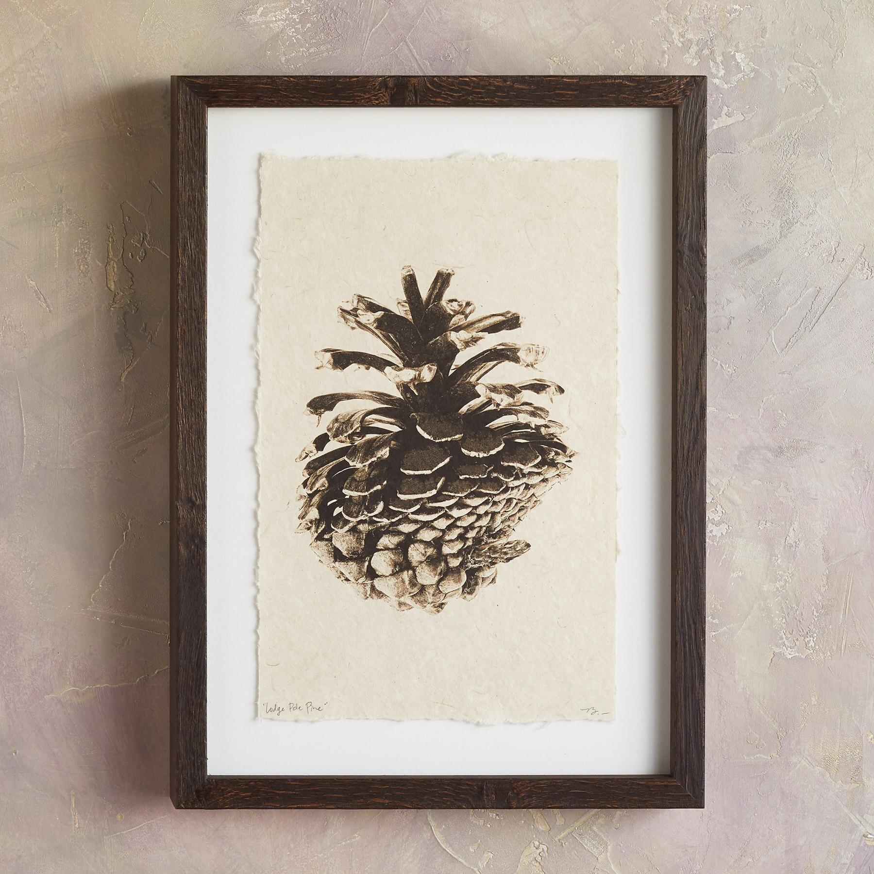 sundance-Pinecone Studies Print-Sundance Outlet