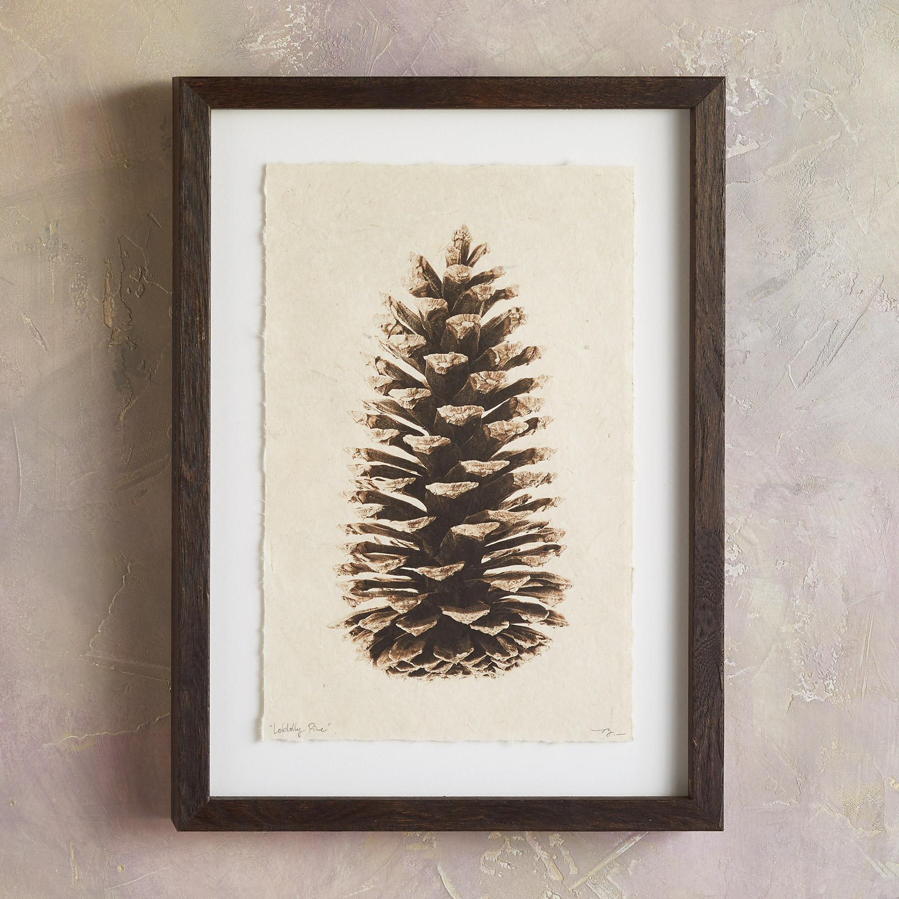 sundance-Pinecone Studies Print-Sundance Outlet