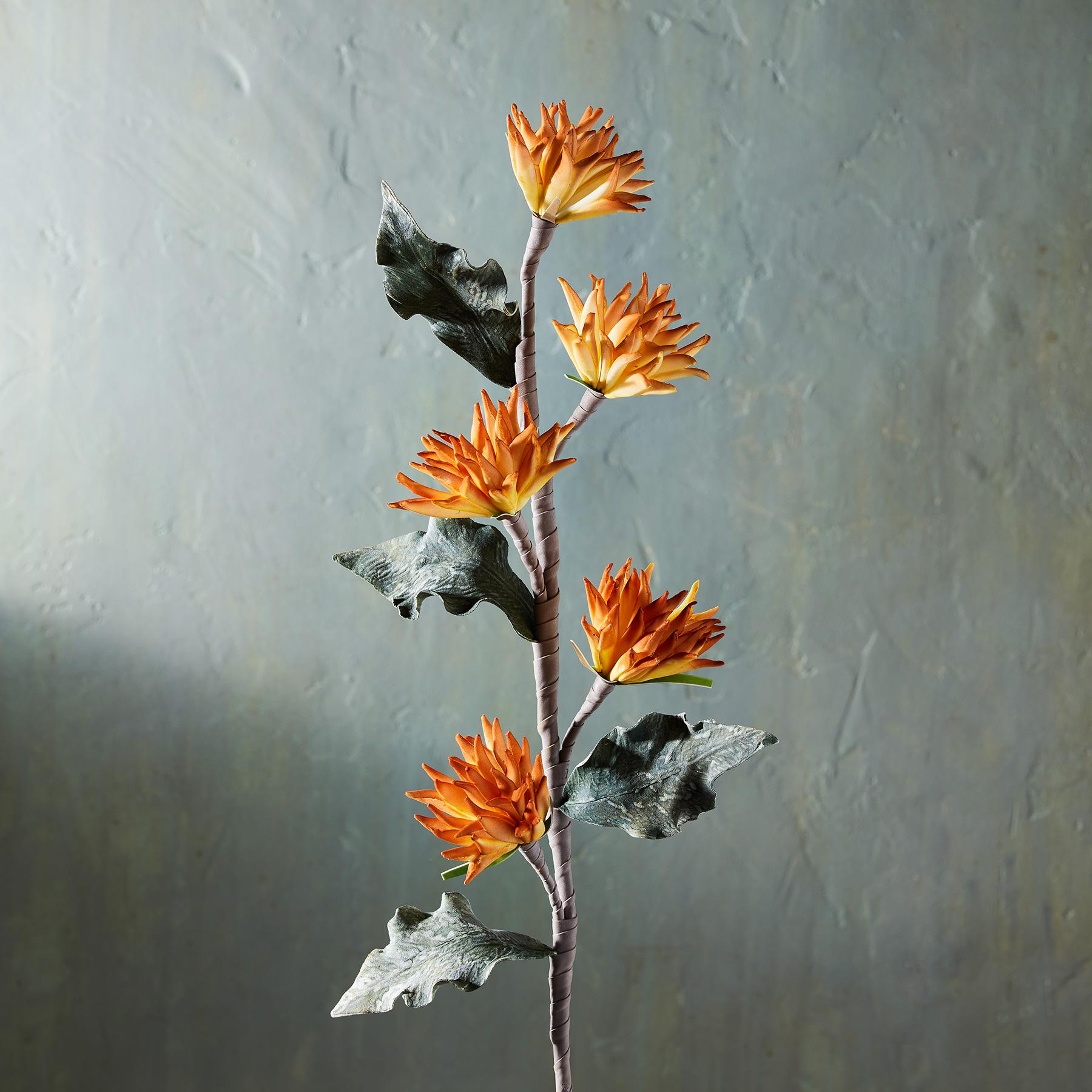 sundance-Bountiful Botanicals-Sundance Outlet