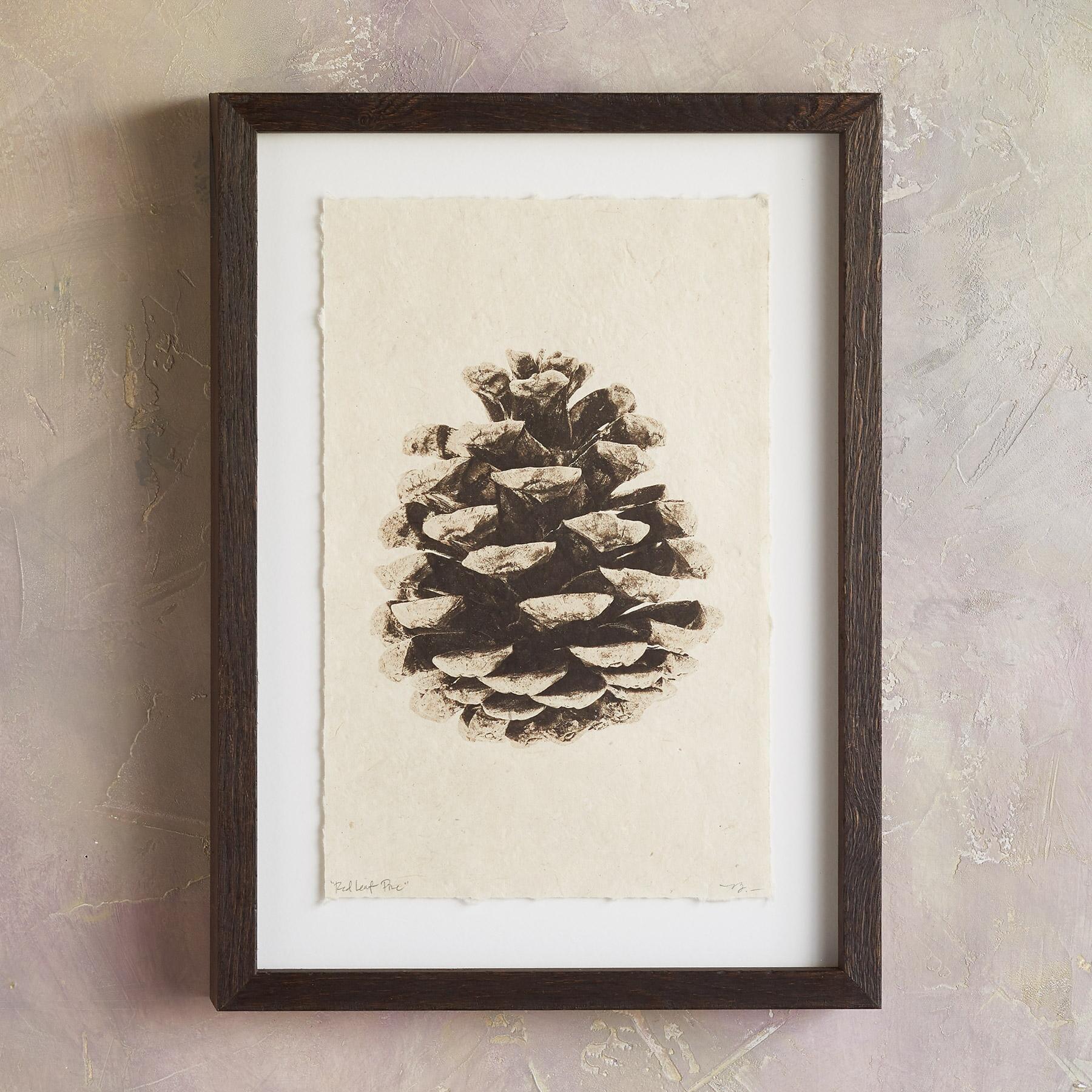 sundance-Pinecone Studies Print-Sundance Outlet
