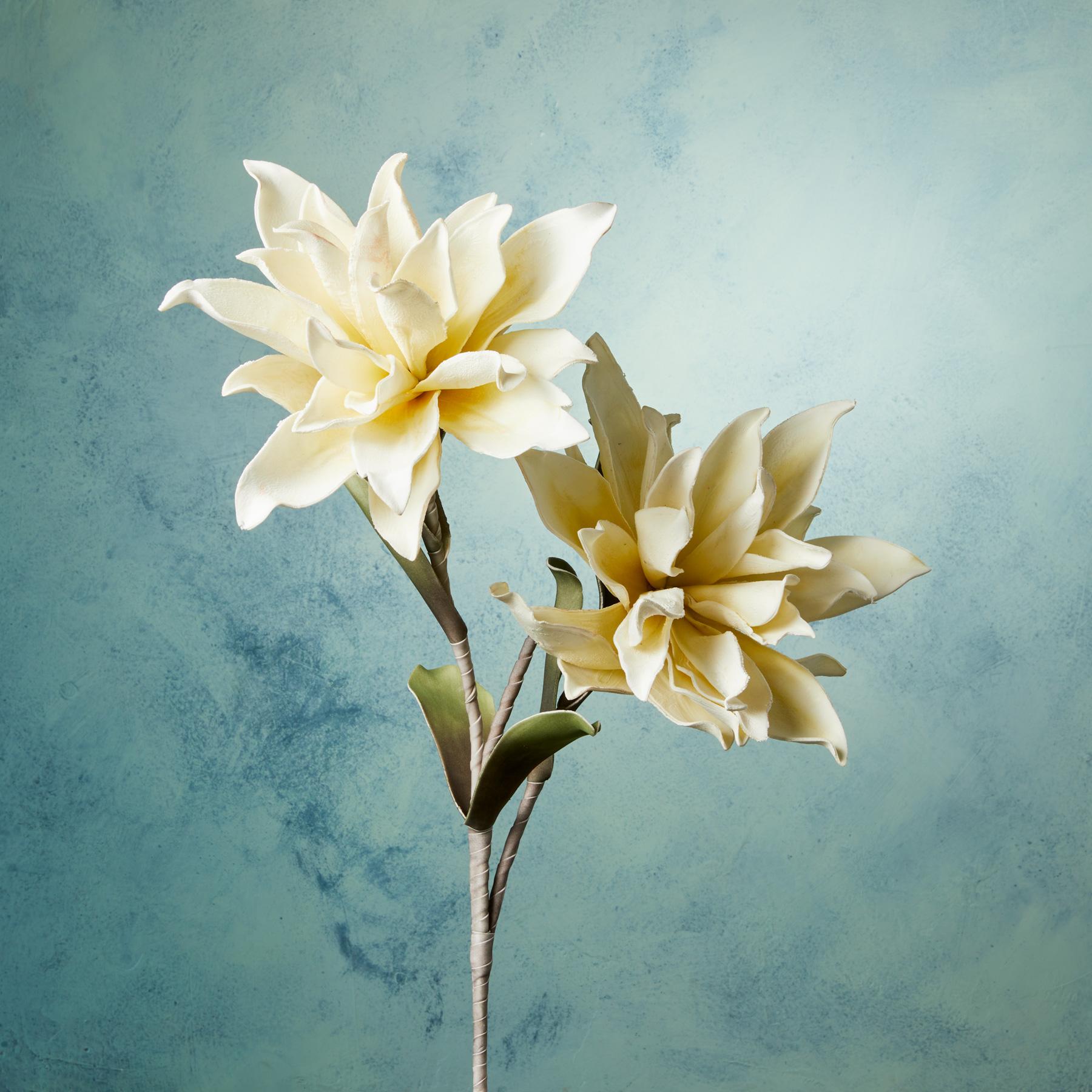 sundance-Bountiful Botanicals-Sundance Outlet