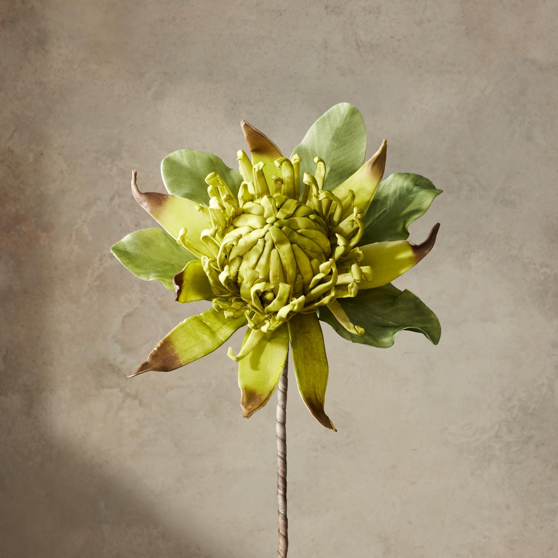 sundance-Bountiful Botanicals-Sundance Outlet