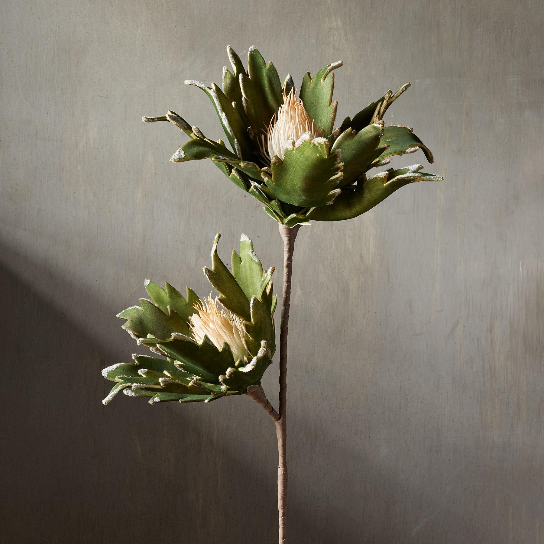 sundance-Bountiful Botanicals-Sundance Outlet