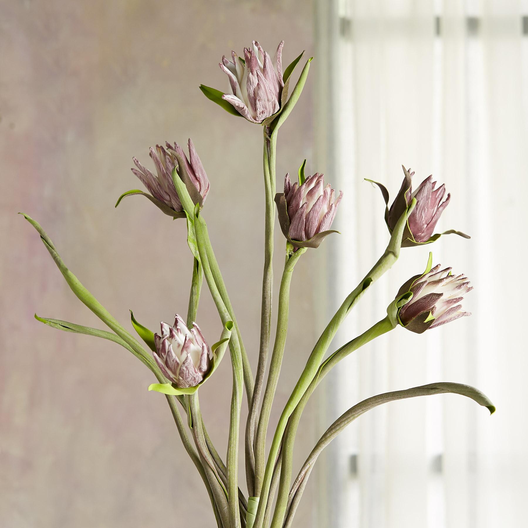 sundance-Bountiful Botanicals-Sundance Outlet