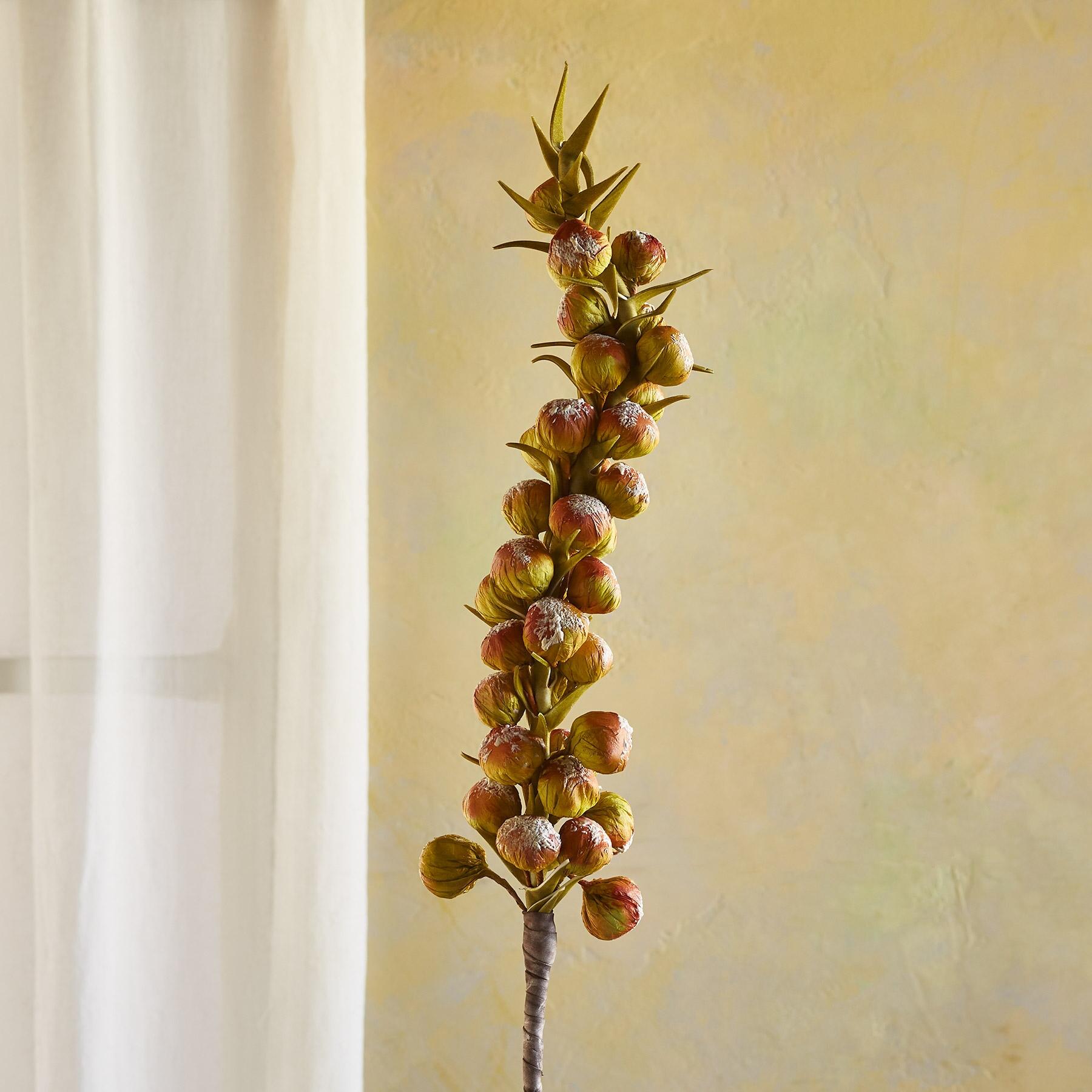 sundance-Bountiful Botanicals-Sundance Outlet