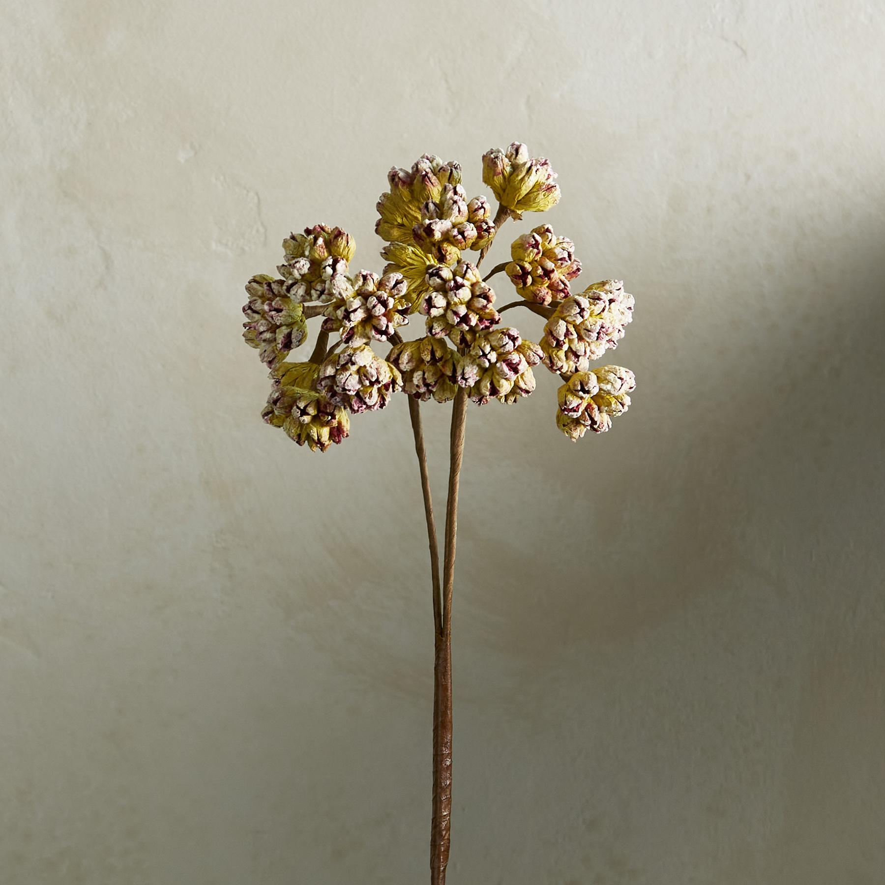 sundance-Bountiful Botanicals-Sundance Outlet