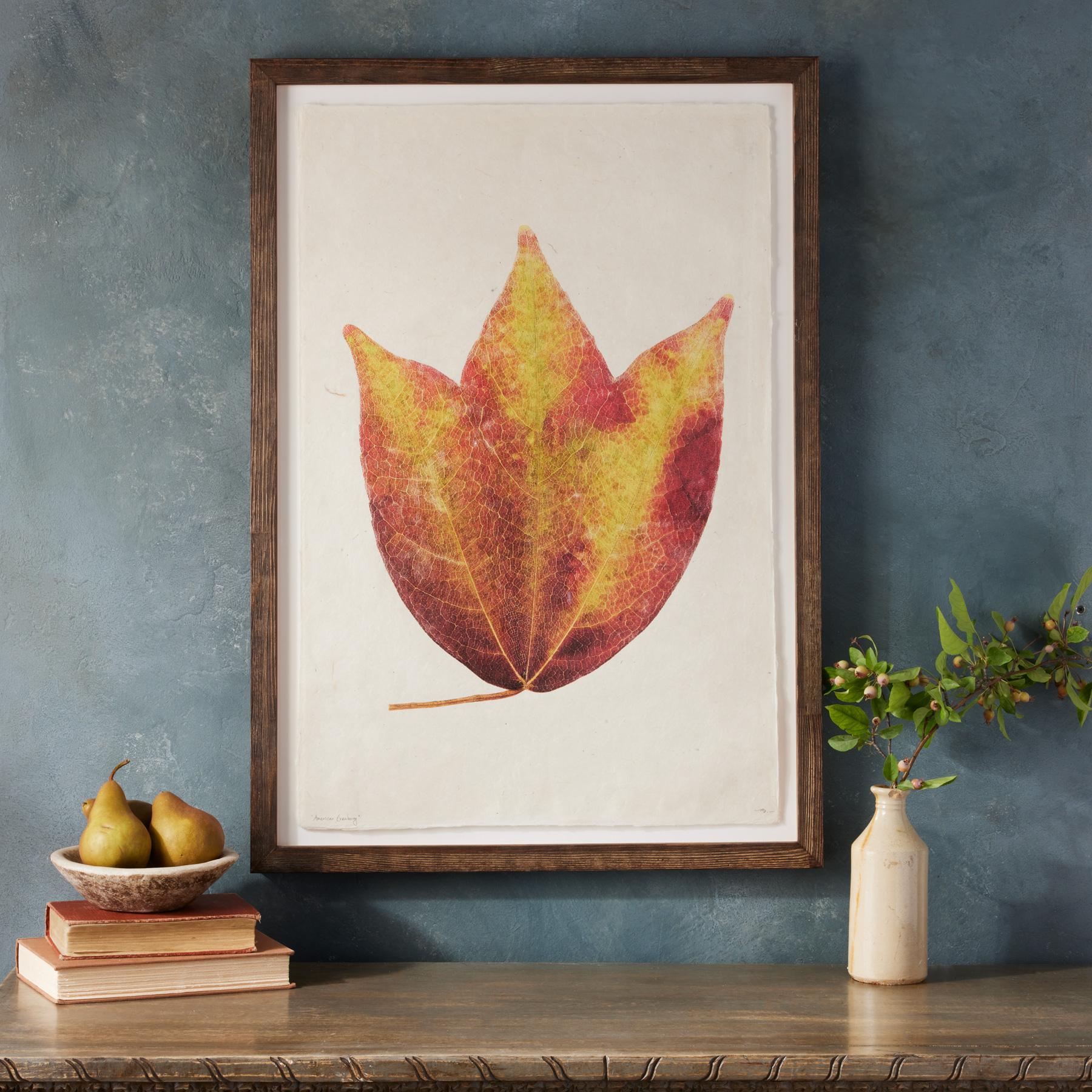 sundance-Leaf Studies Print-Sundance Outlet