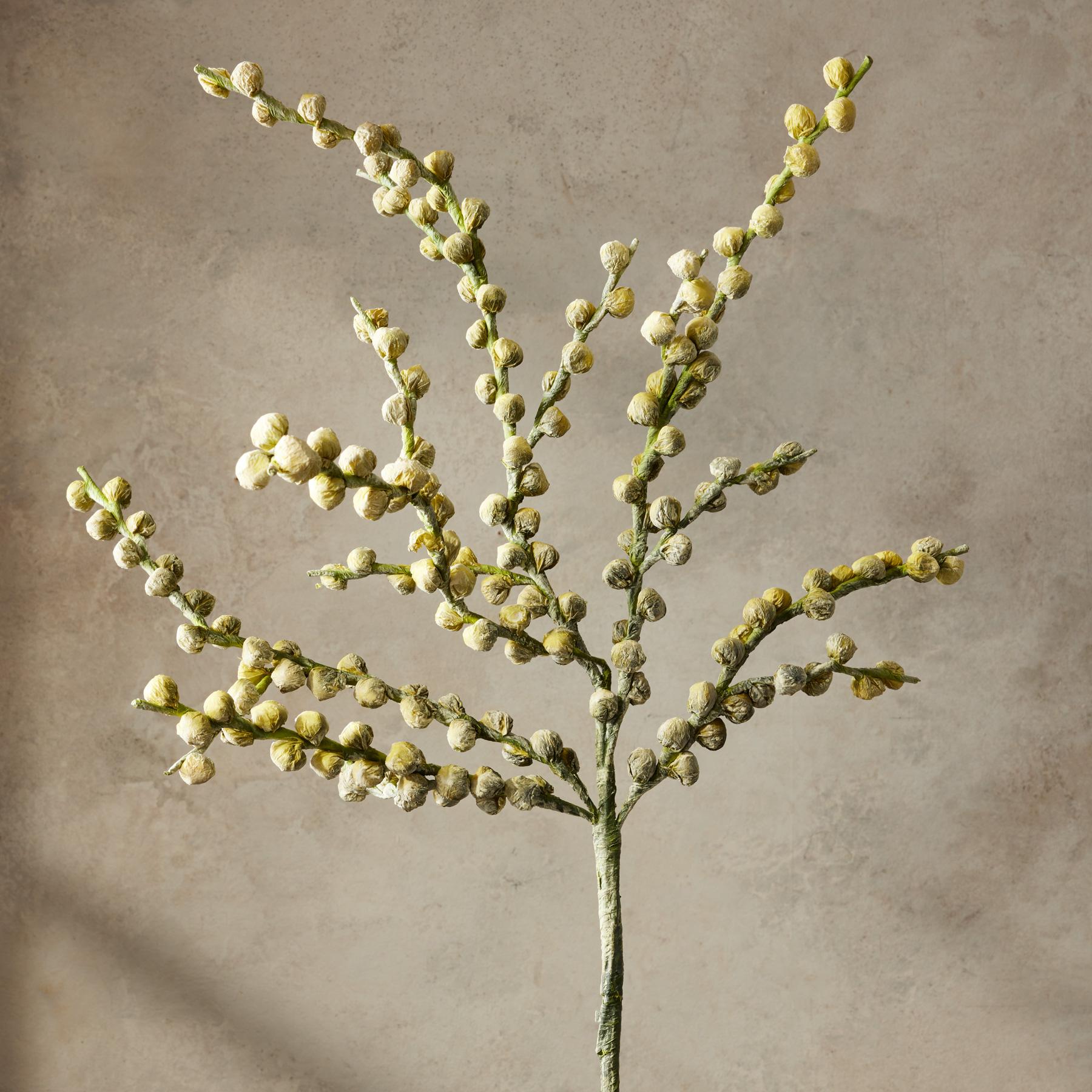 sundance-Bountiful Botanicals-Sundance Outlet