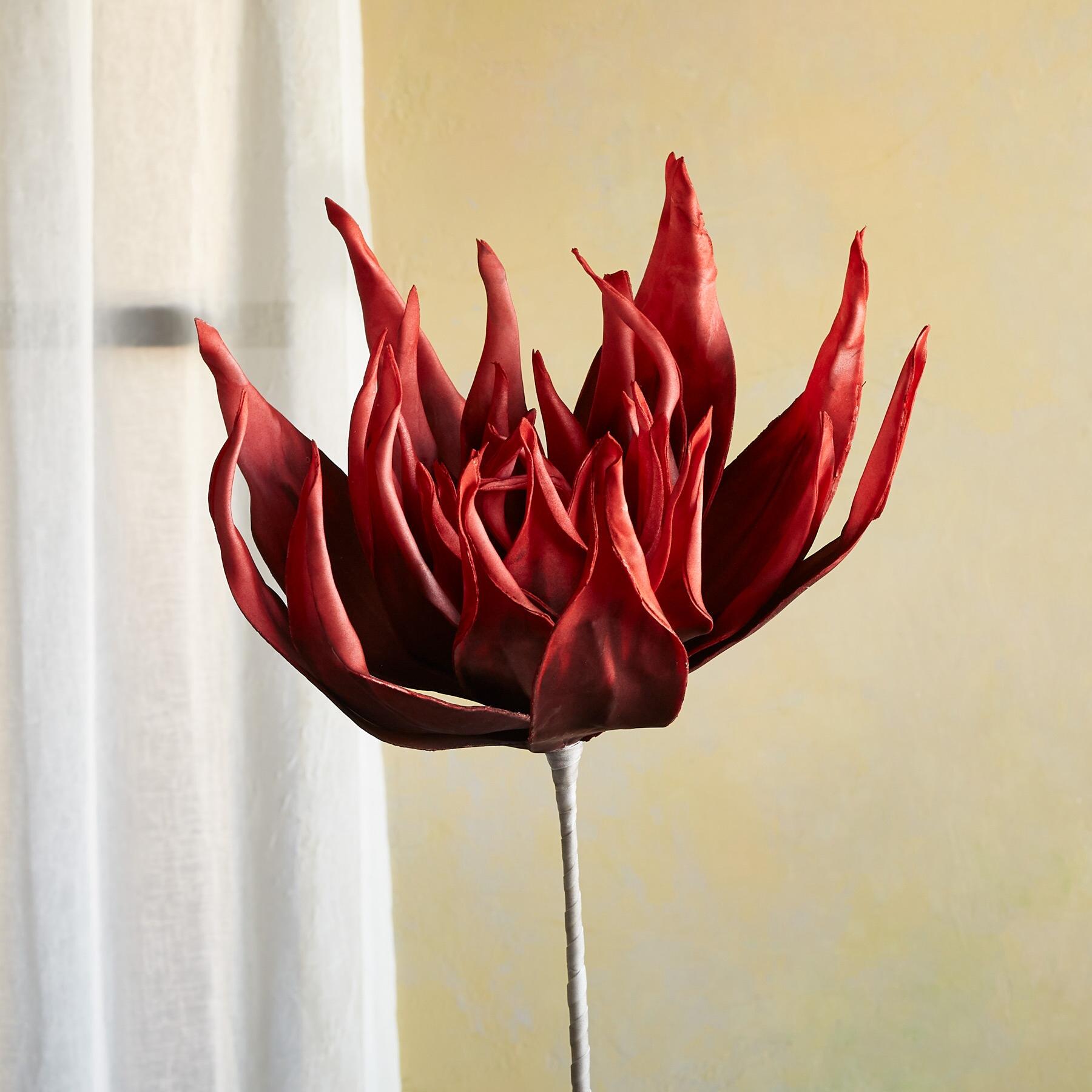 sundance-Bountiful Botanicals-Sundance Outlet