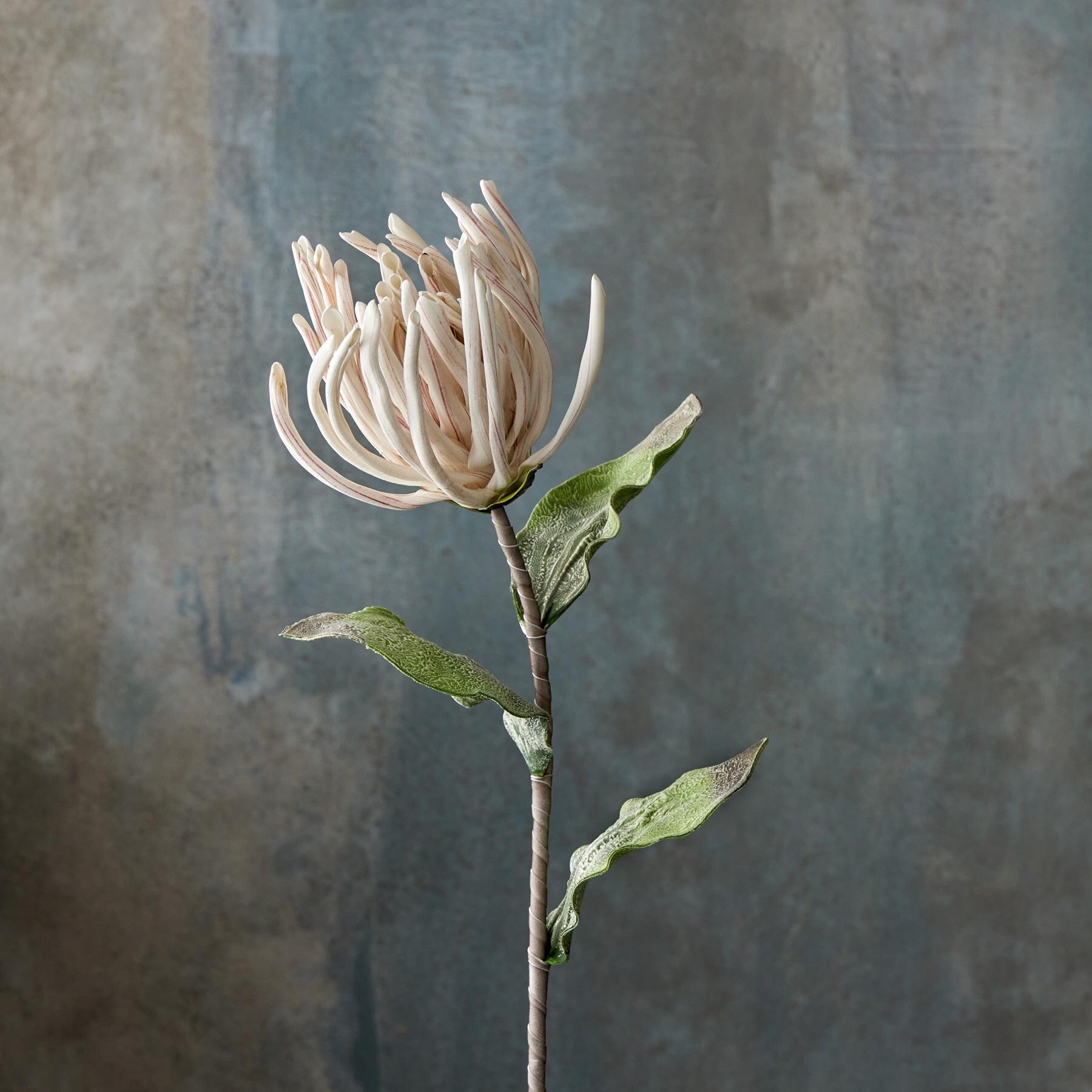 sundance-Bountiful Botanicals-Sundance Outlet