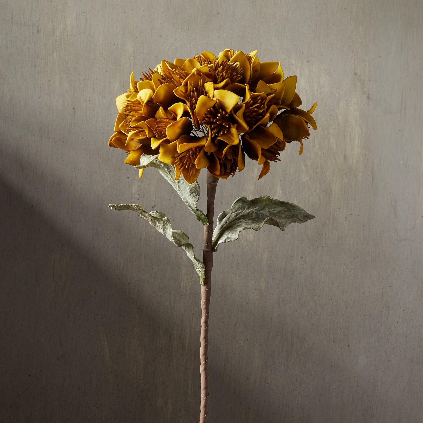 sundance-Bountiful Botanicals-Sundance Outlet