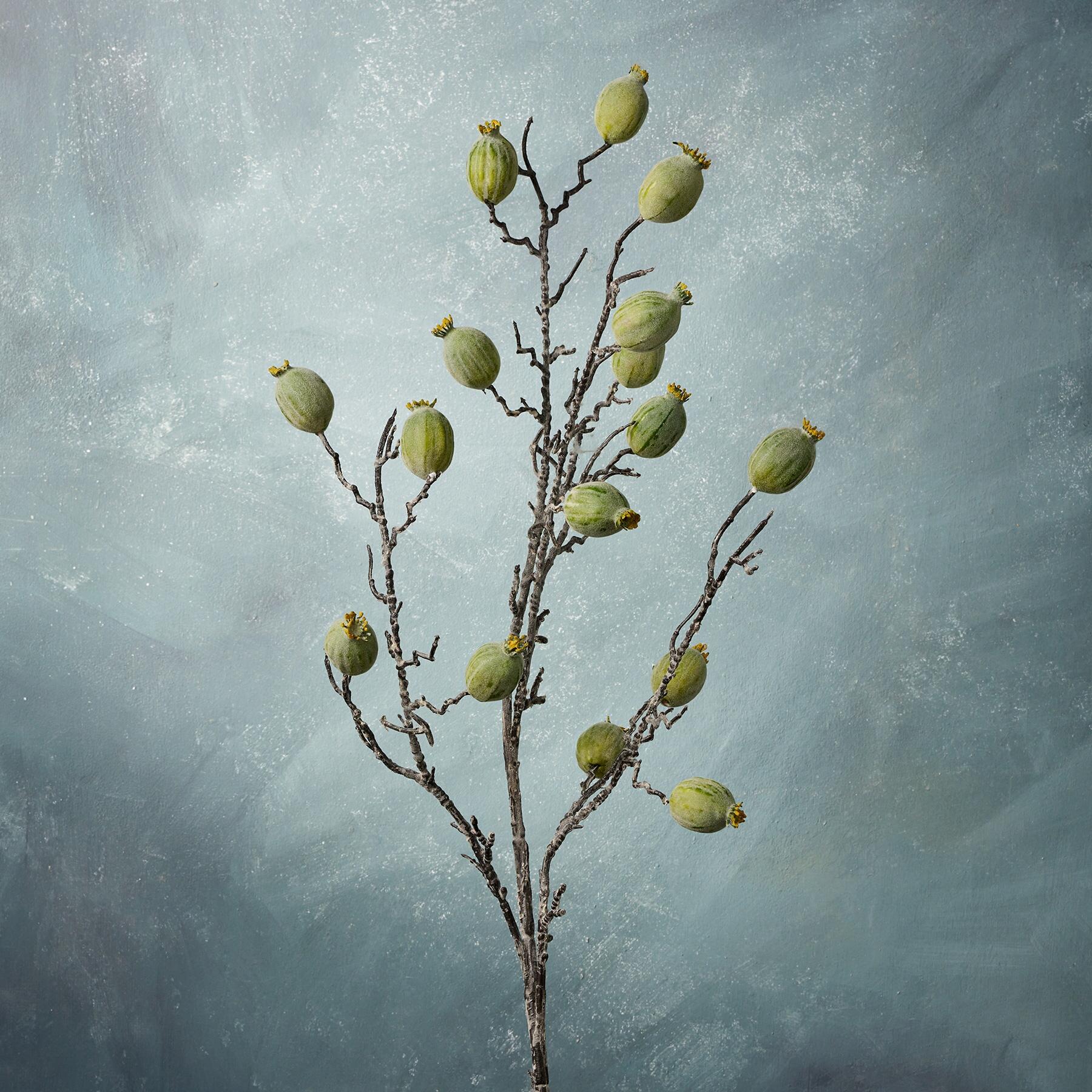 sundance-Bountiful Botanicals-Sundance Outlet