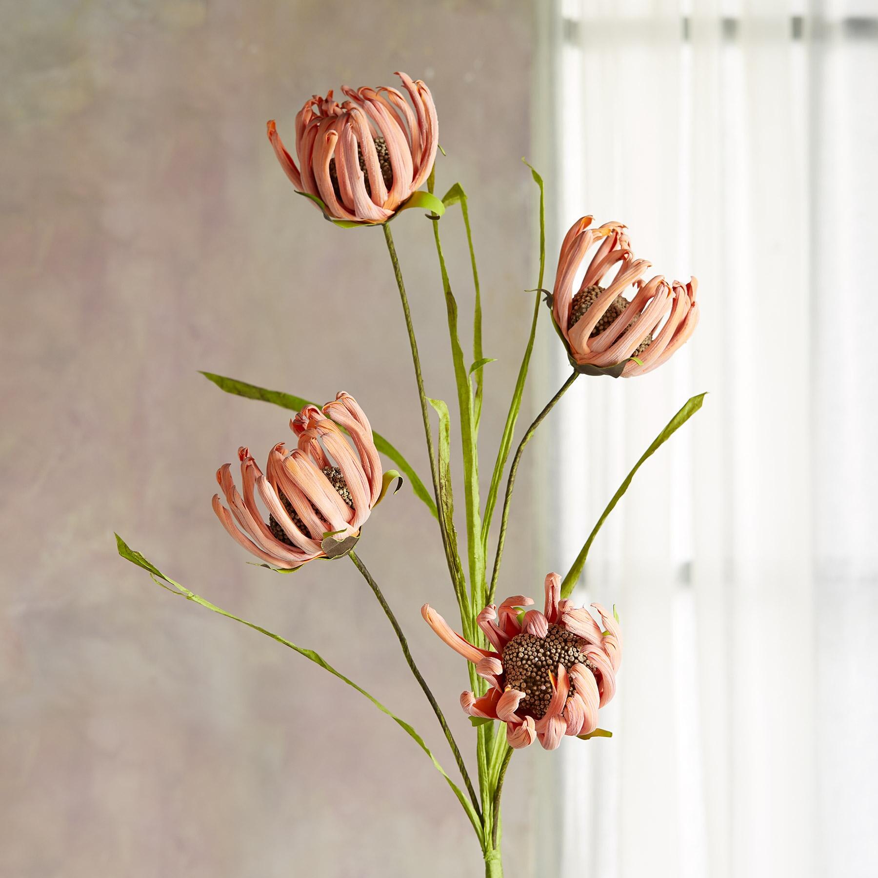 sundance-Bountiful Botanicals-Sundance Outlet