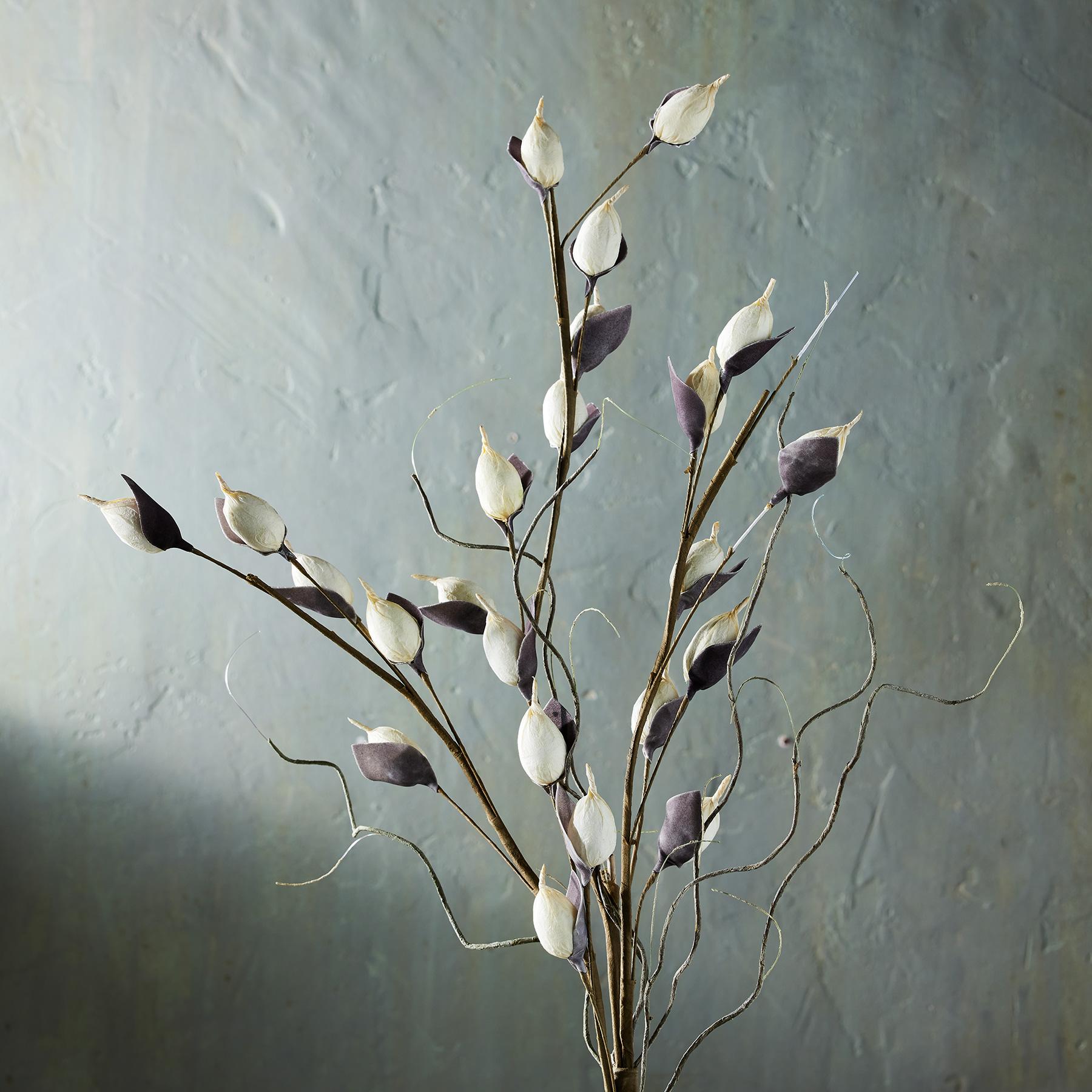 sundance-Bountiful Botanicals-Sundance Outlet