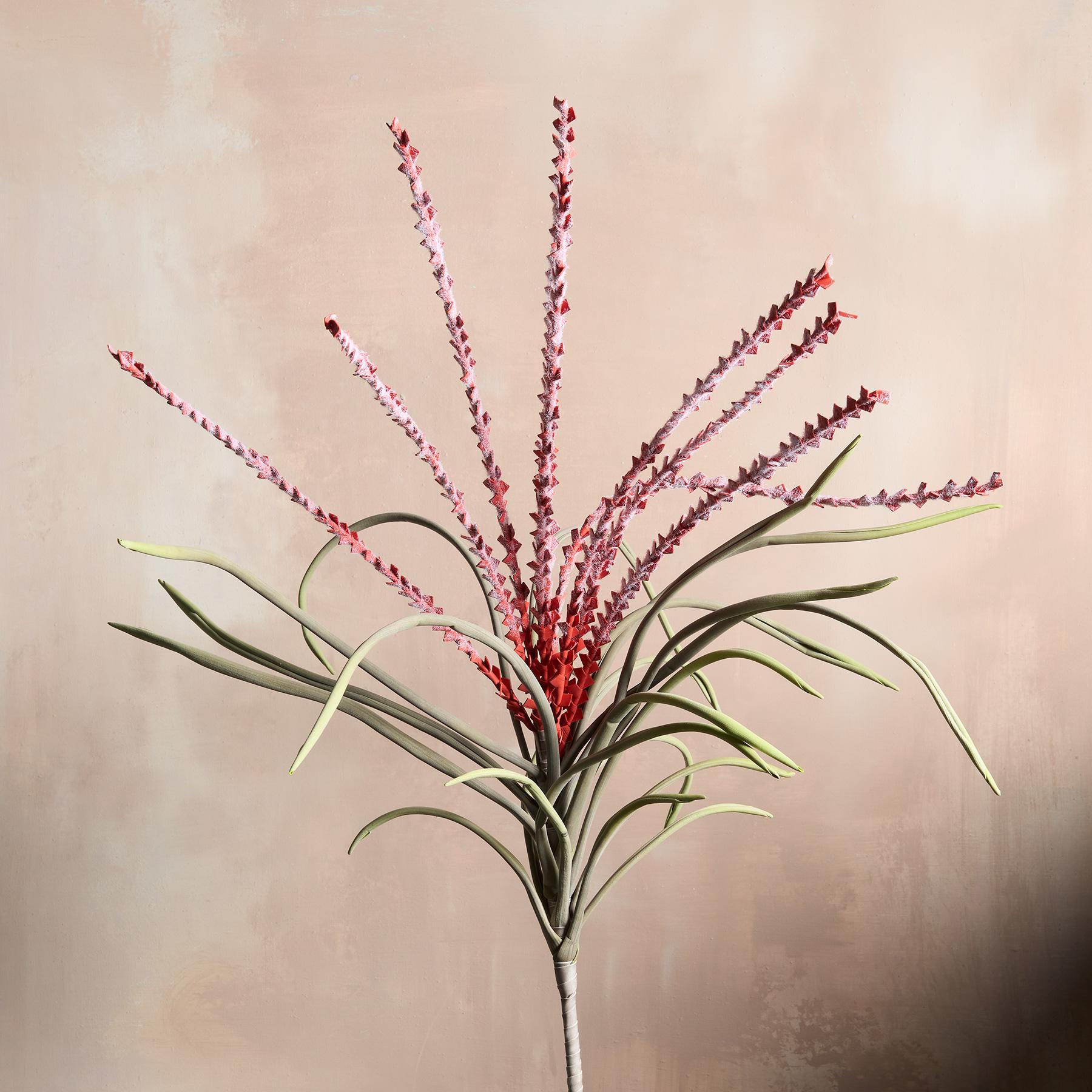 sundance-Bountiful Botanicals-Sundance Outlet