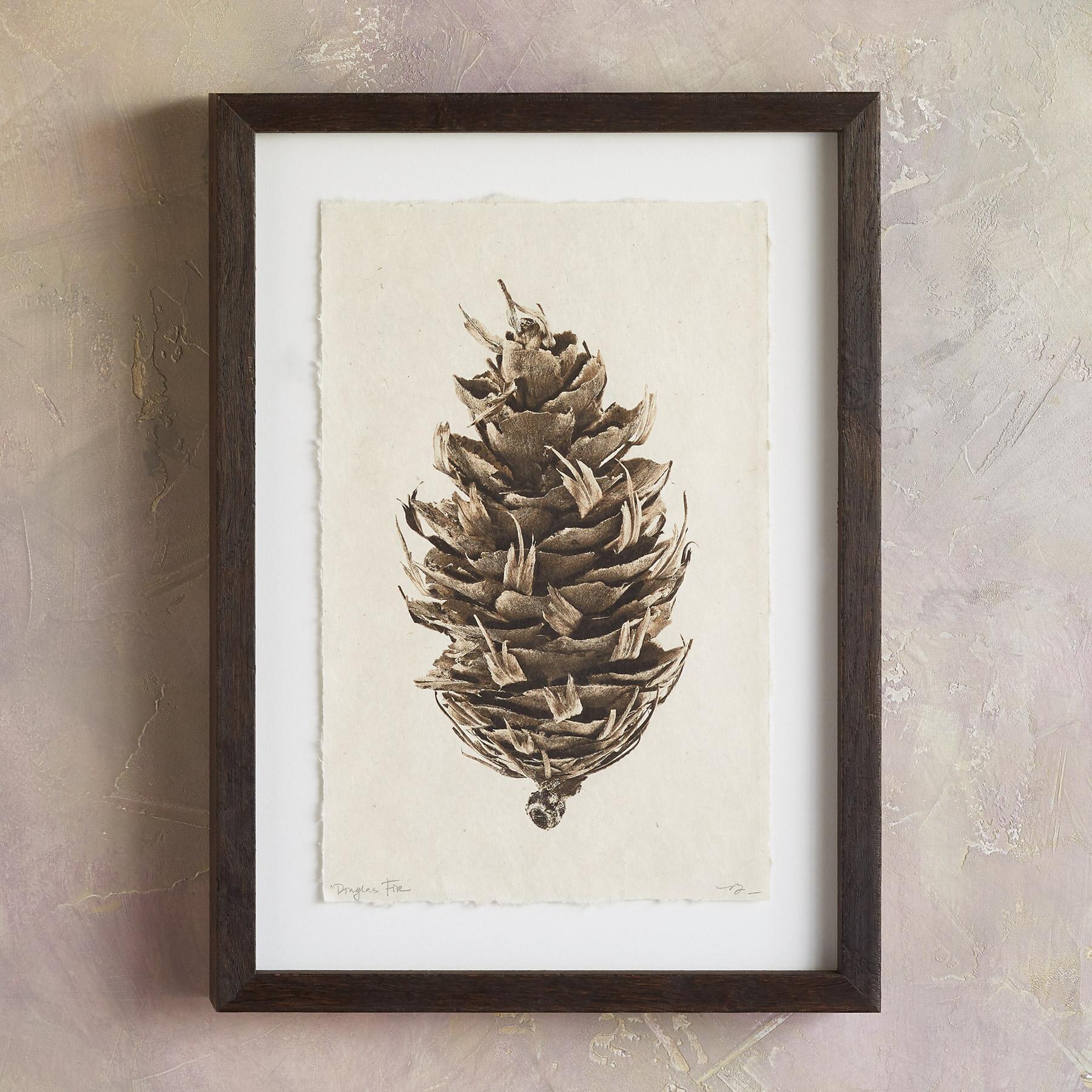sundance-Pinecone Studies Print-Sundance Outlet