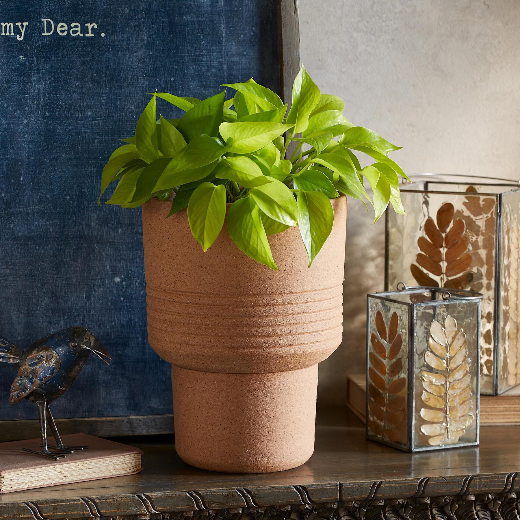 sundance-Local Roots Planter-Sundance Outlet