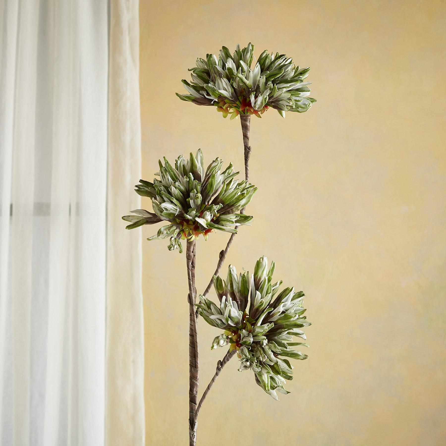 sundance-Bountiful Botanicals-Sundance Outlet