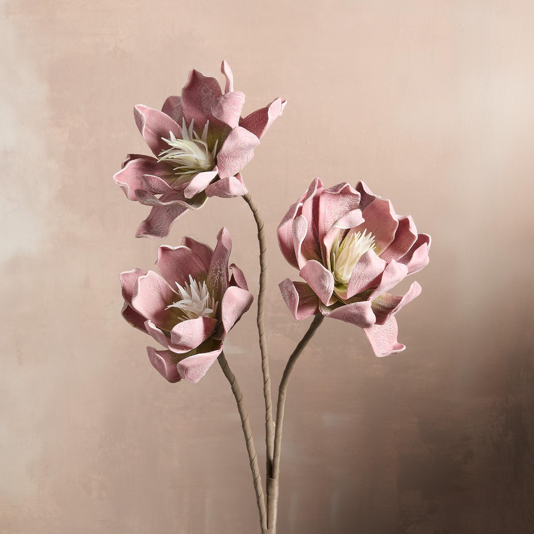 sundance-Bountiful Botanicals-Sundance Outlet