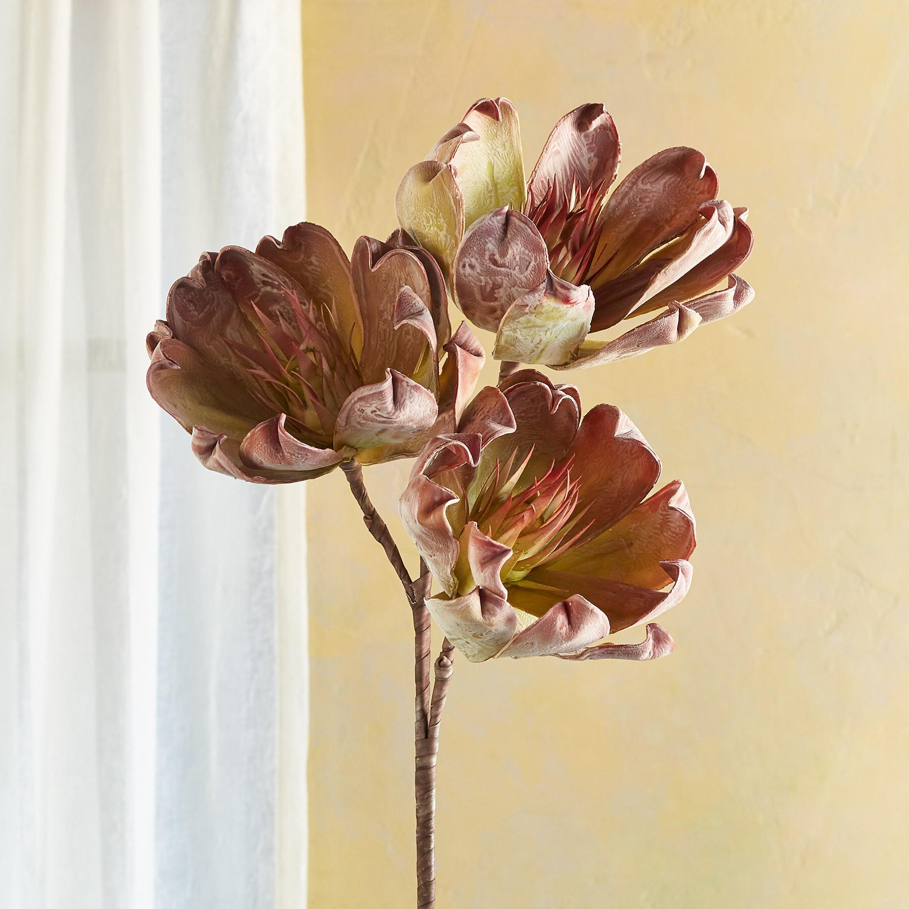 sundance-Bountiful Botanicals-Sundance Outlet