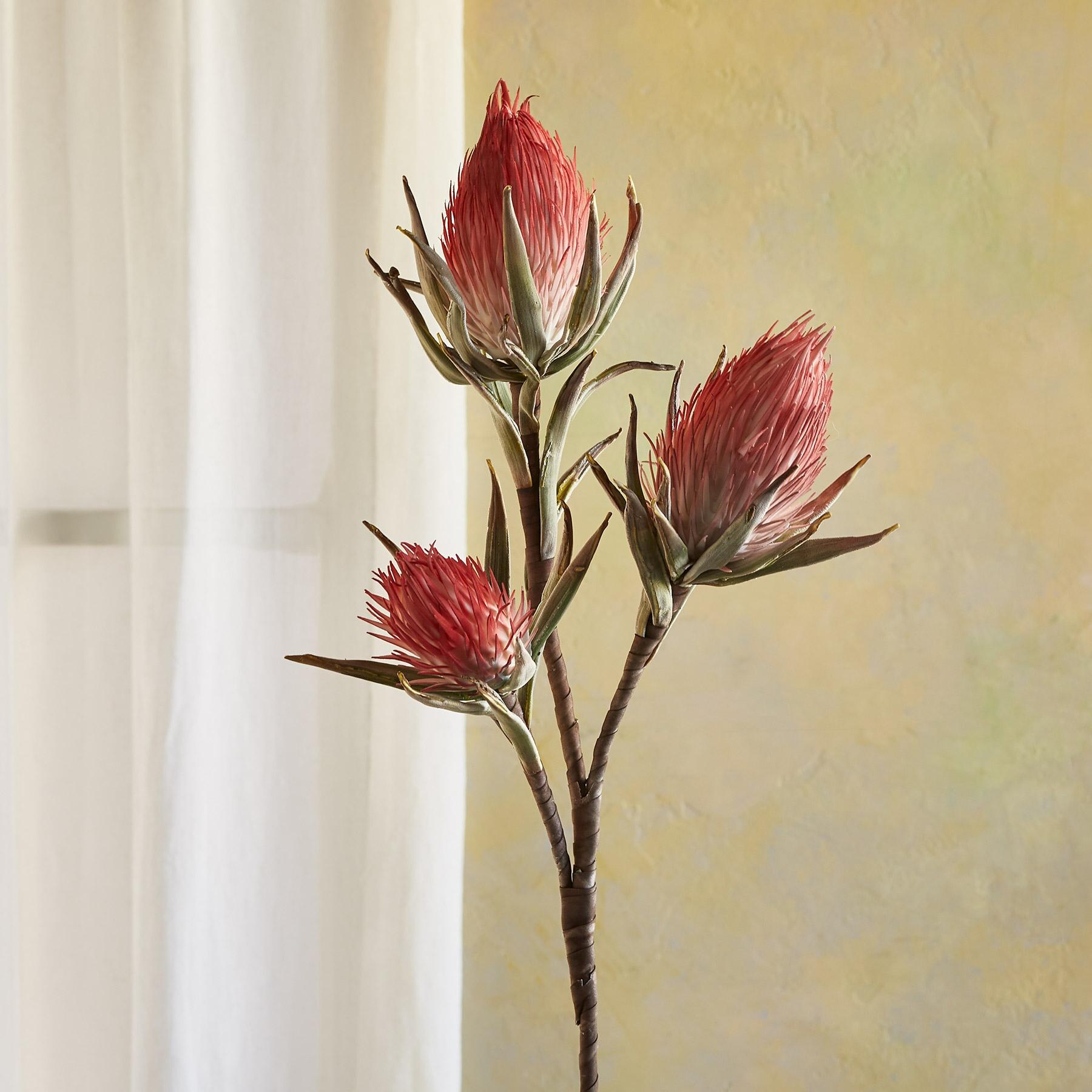 sundance-Bountiful Botanicals-Sundance Outlet