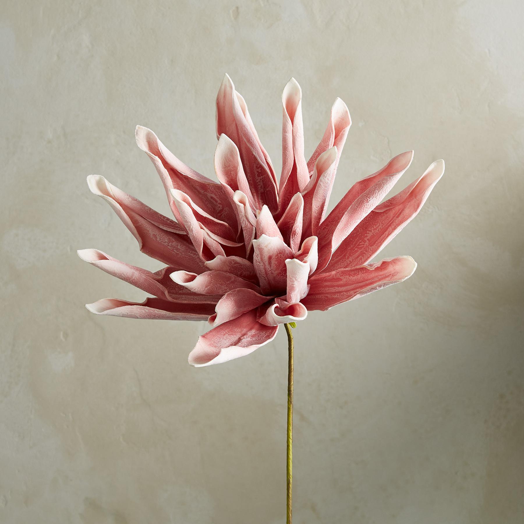 sundance-Bountiful Botanicals-Sundance Outlet