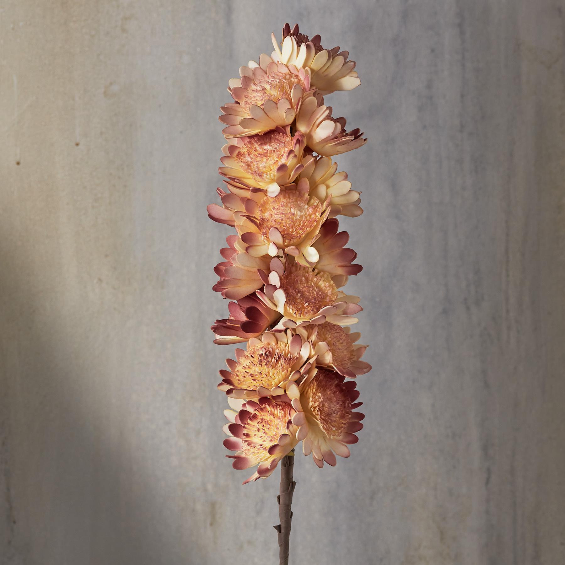 sundance-Bountiful Botanicals-Sundance Outlet