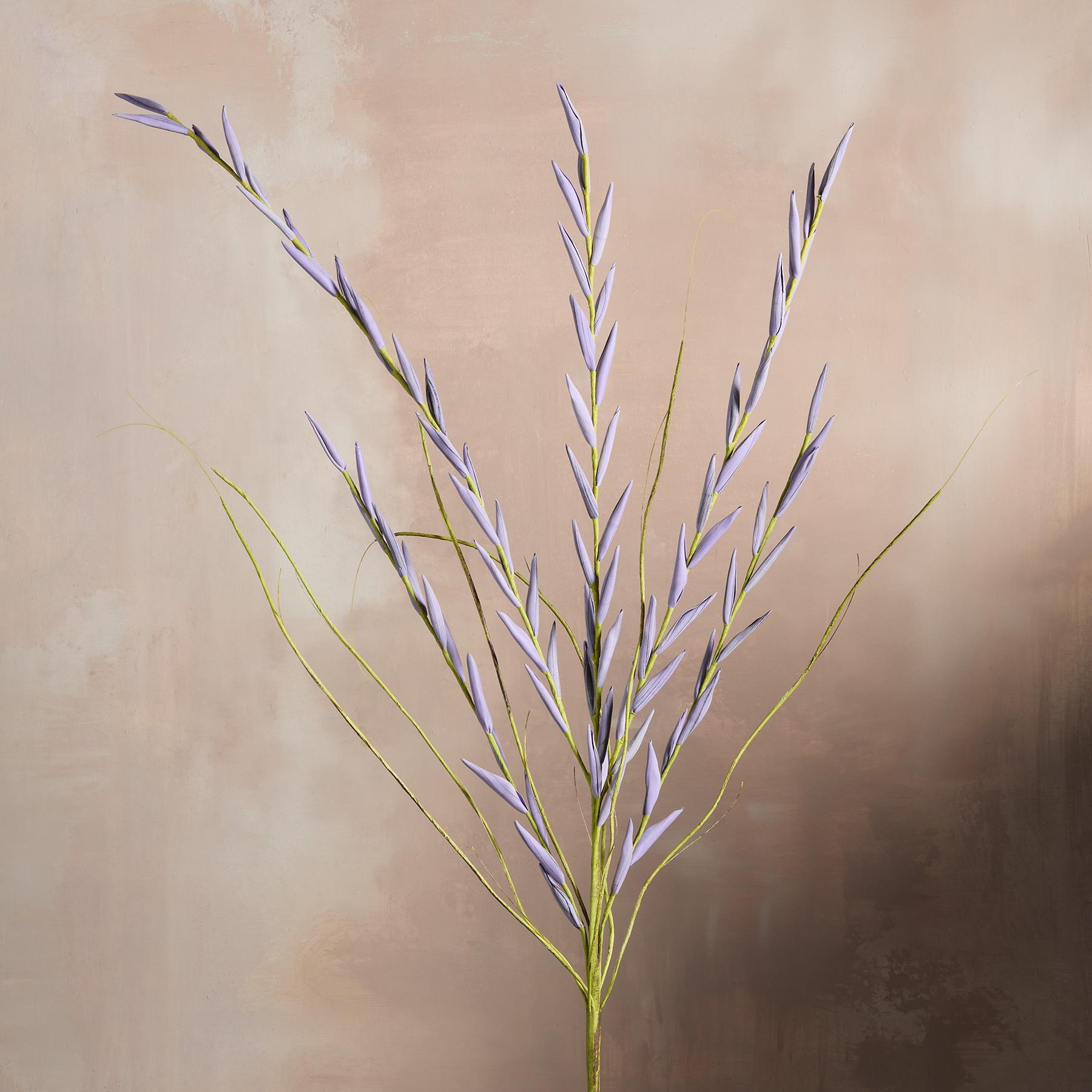 sundance-Bountiful Botanicals-Sundance Outlet