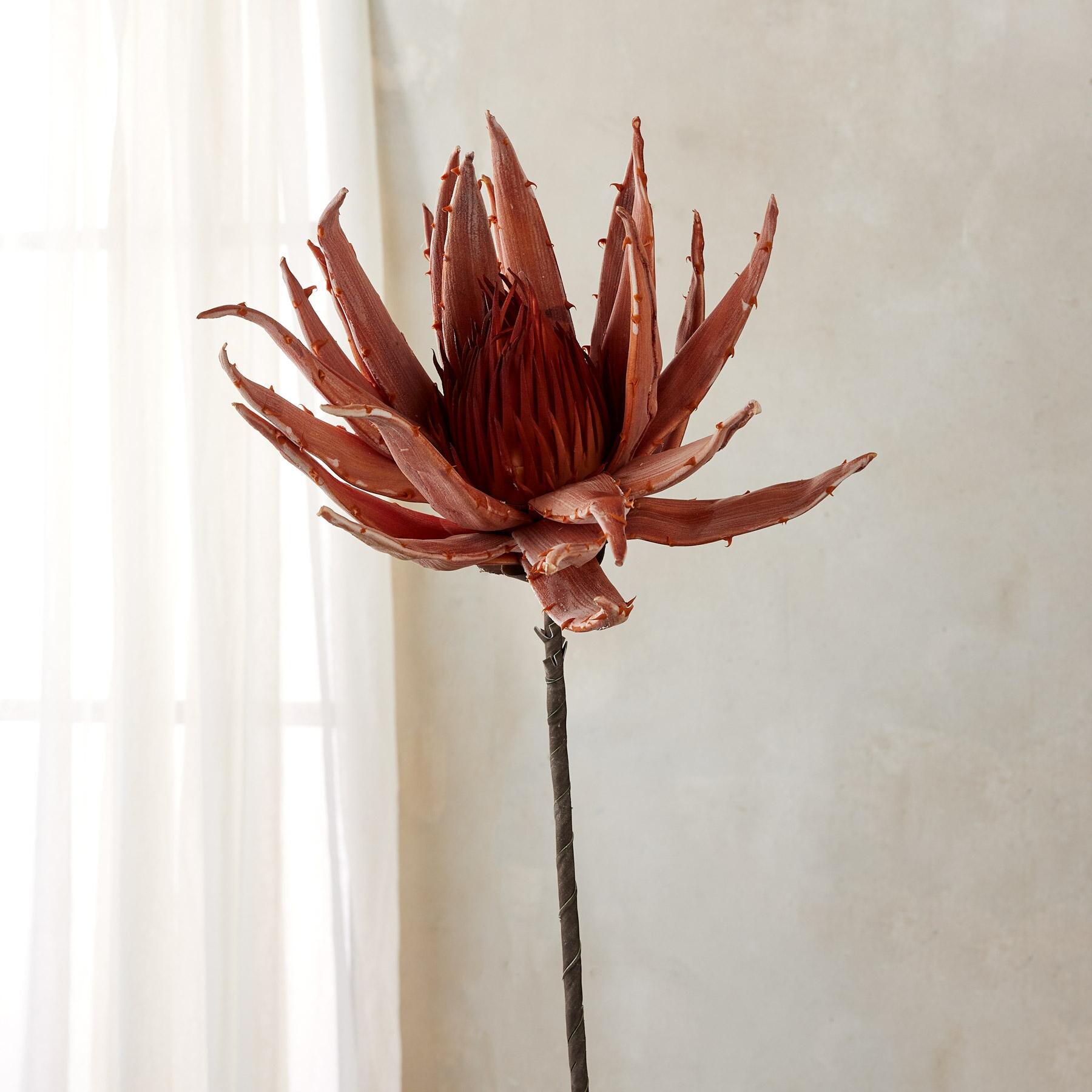 sundance-Bountiful Botanicals-Sundance Outlet