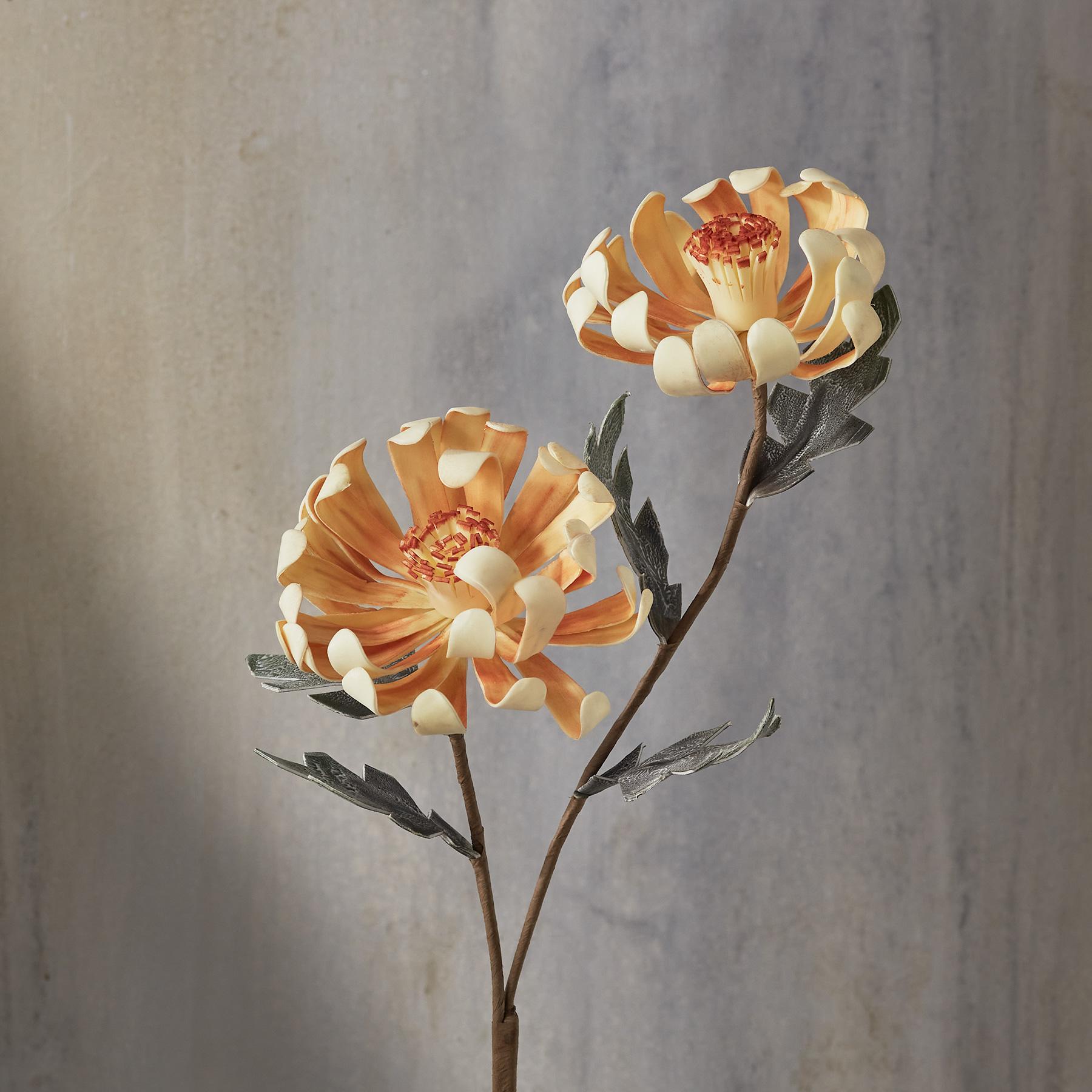 sundance-Bountiful Botanicals-Sundance Outlet