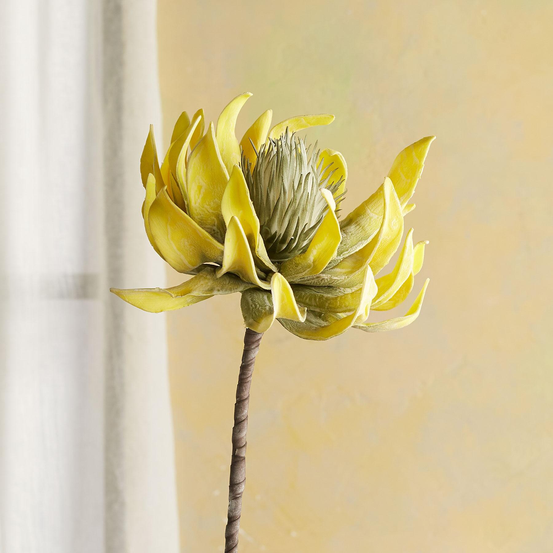 sundance-Bountiful Botanicals-Sundance Outlet