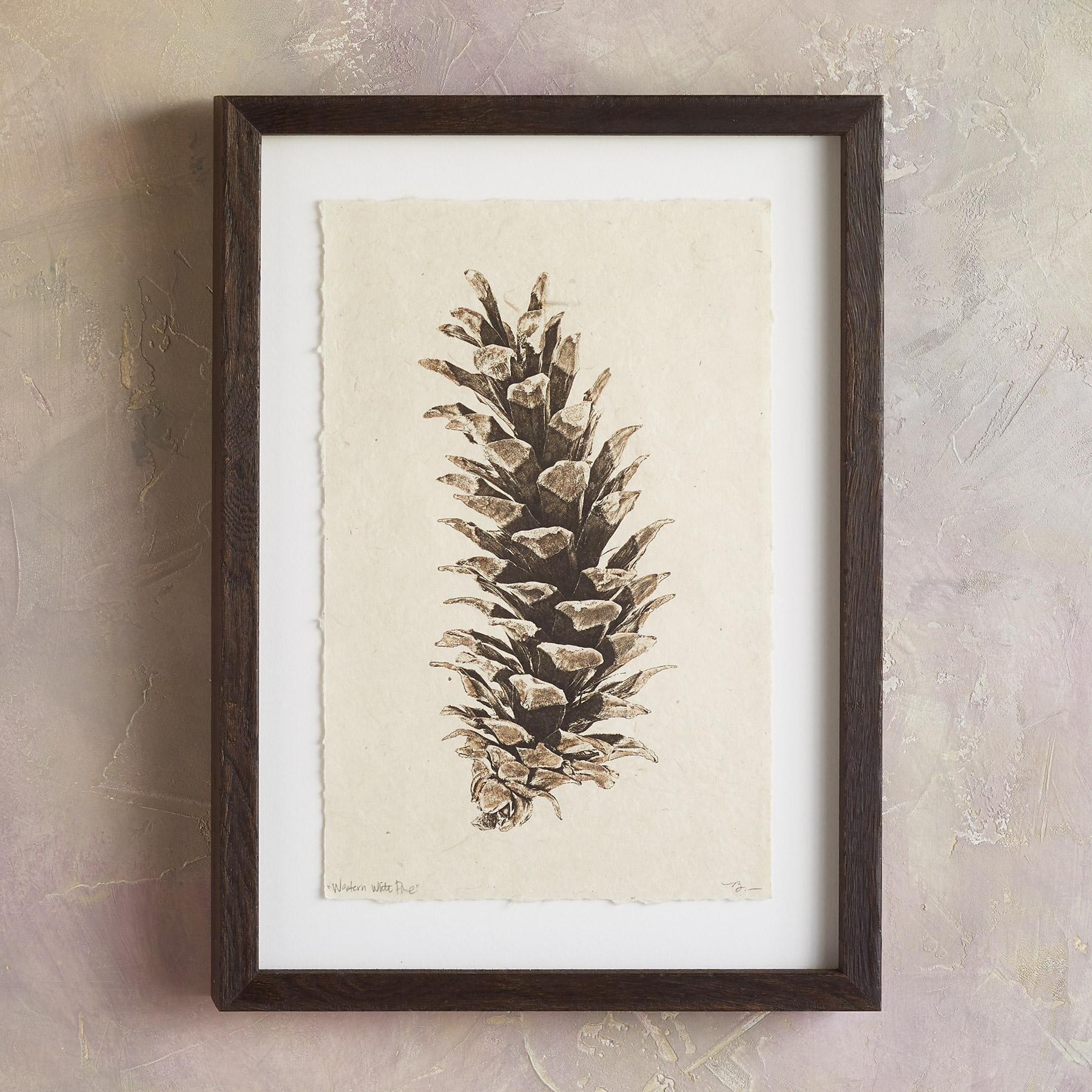 sundance-Pinecone Studies Print-Sundance Outlet