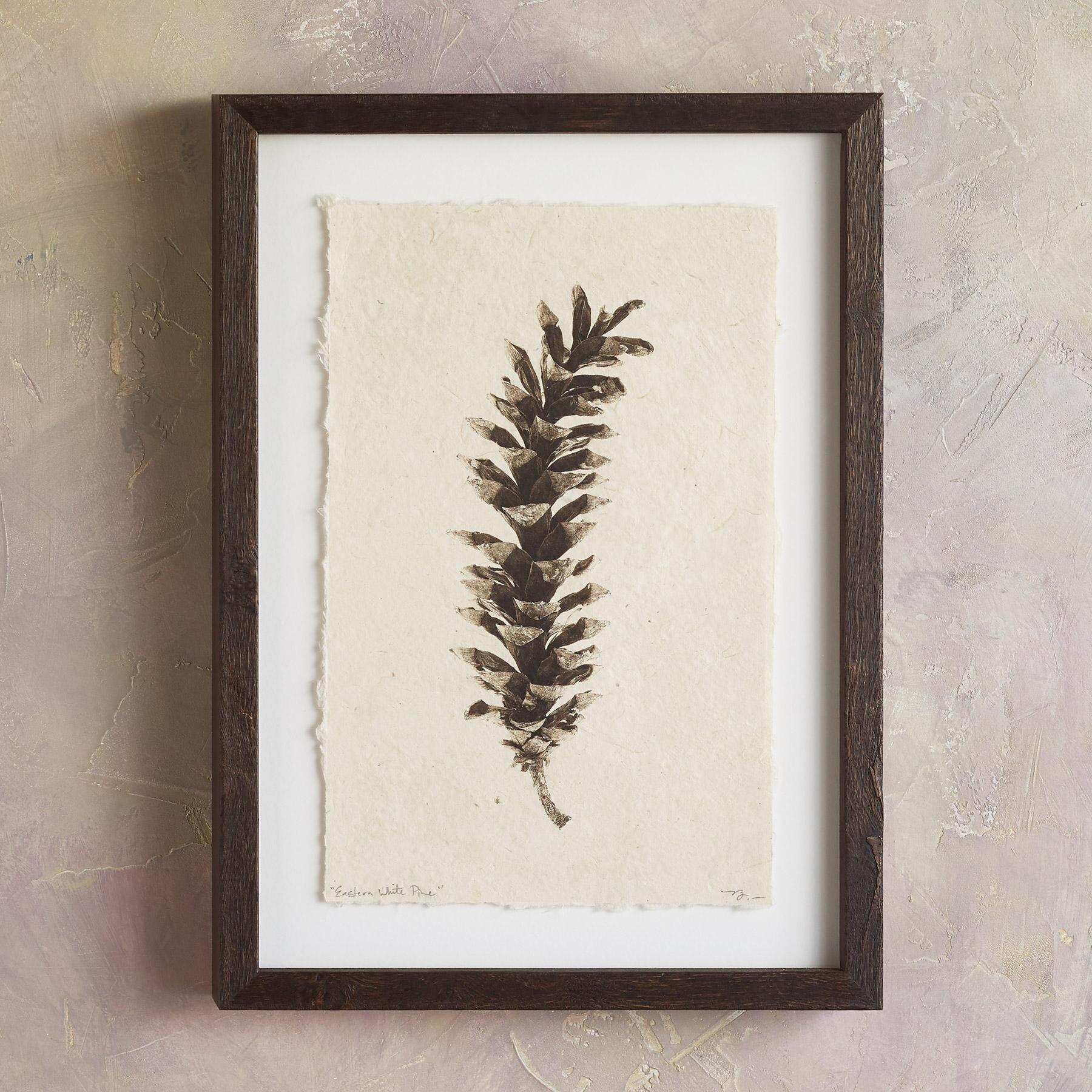 sundance-Pinecone Studies Print-Sundance Outlet