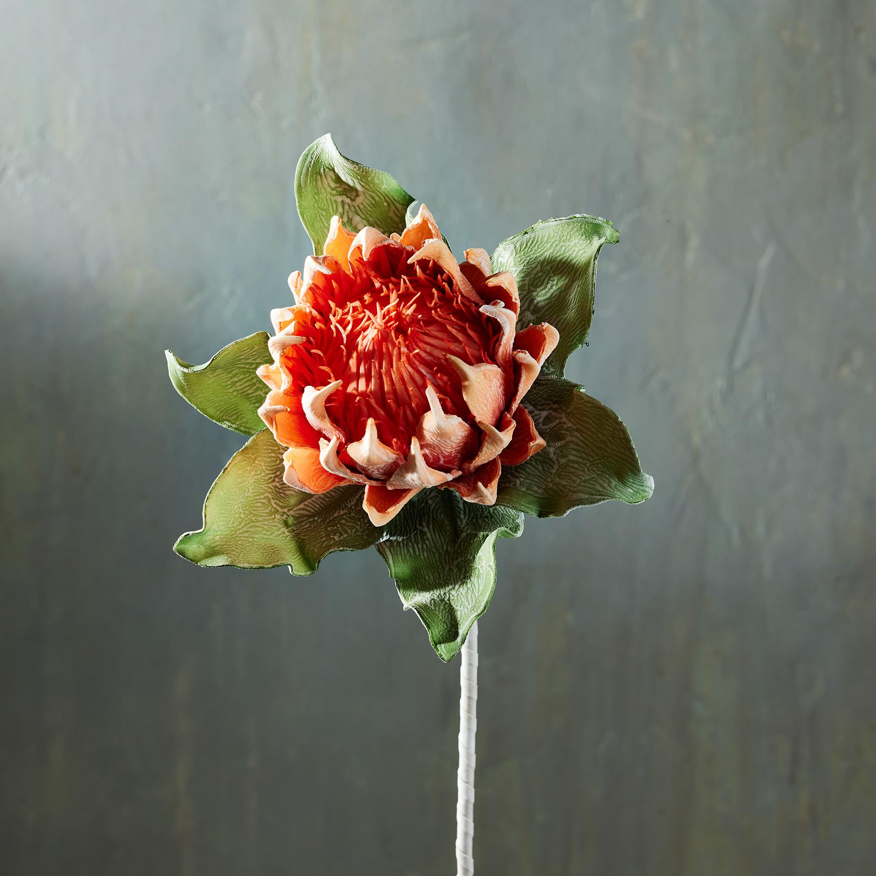 sundance-Bountiful Botanicals-Sundance Outlet