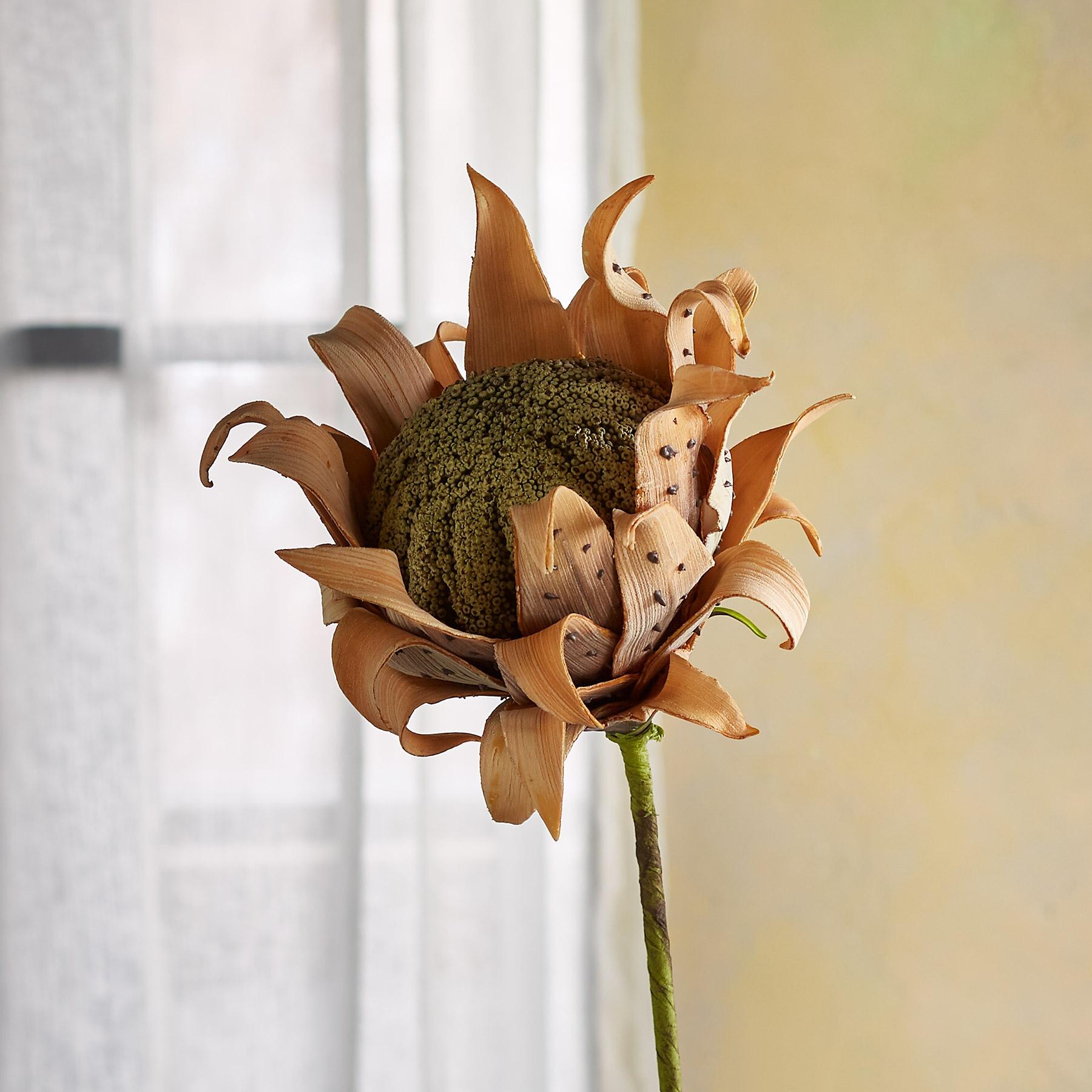 sundance-Bountiful Botanicals-Sundance Outlet