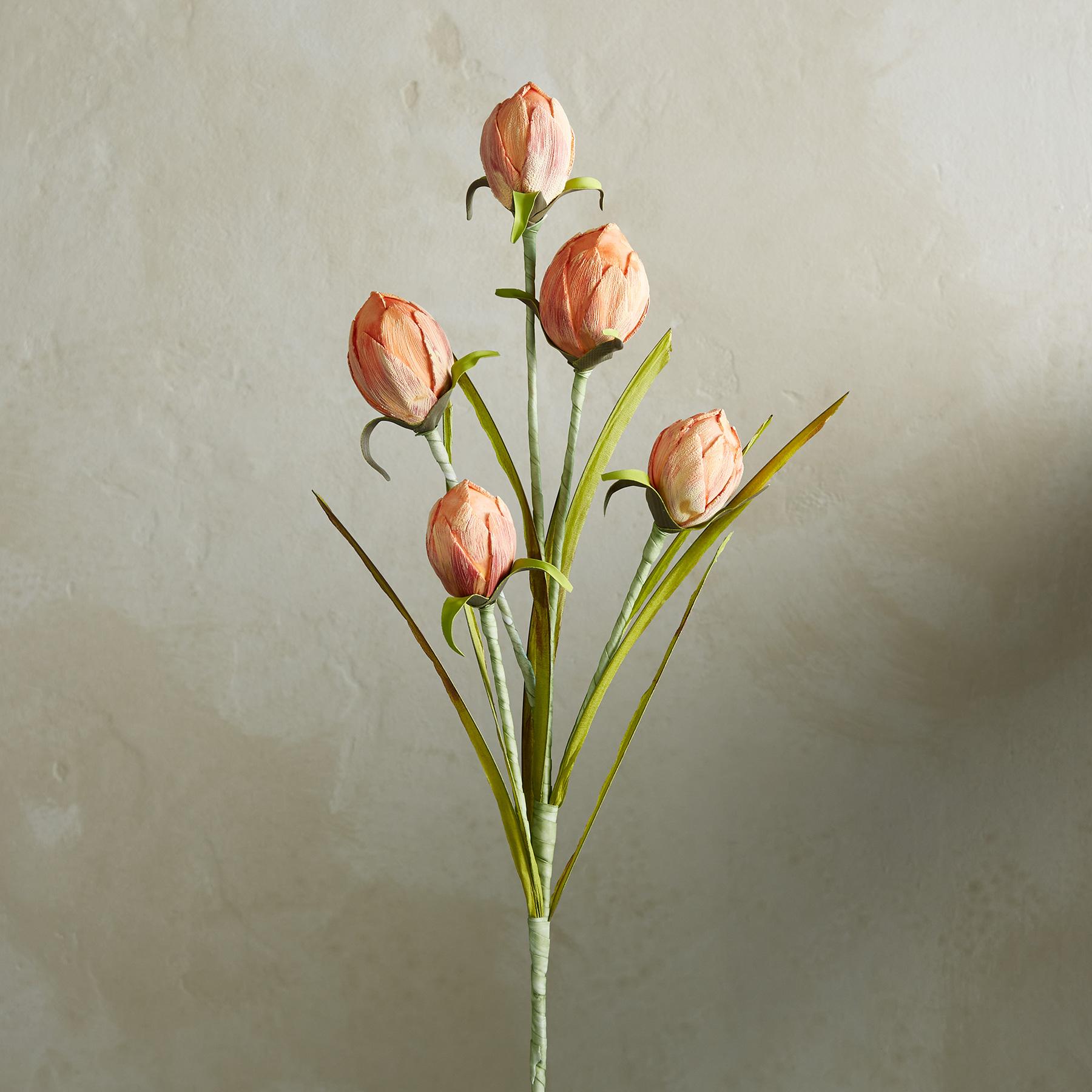 sundance-Bountiful Botanicals-Sundance Outlet