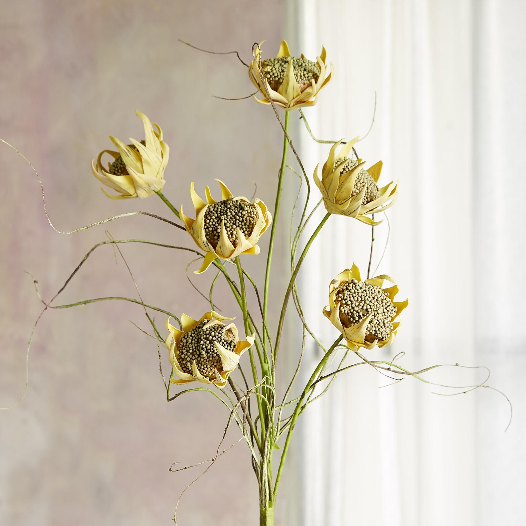 sundance-Bountiful Botanicals-Sundance Outlet