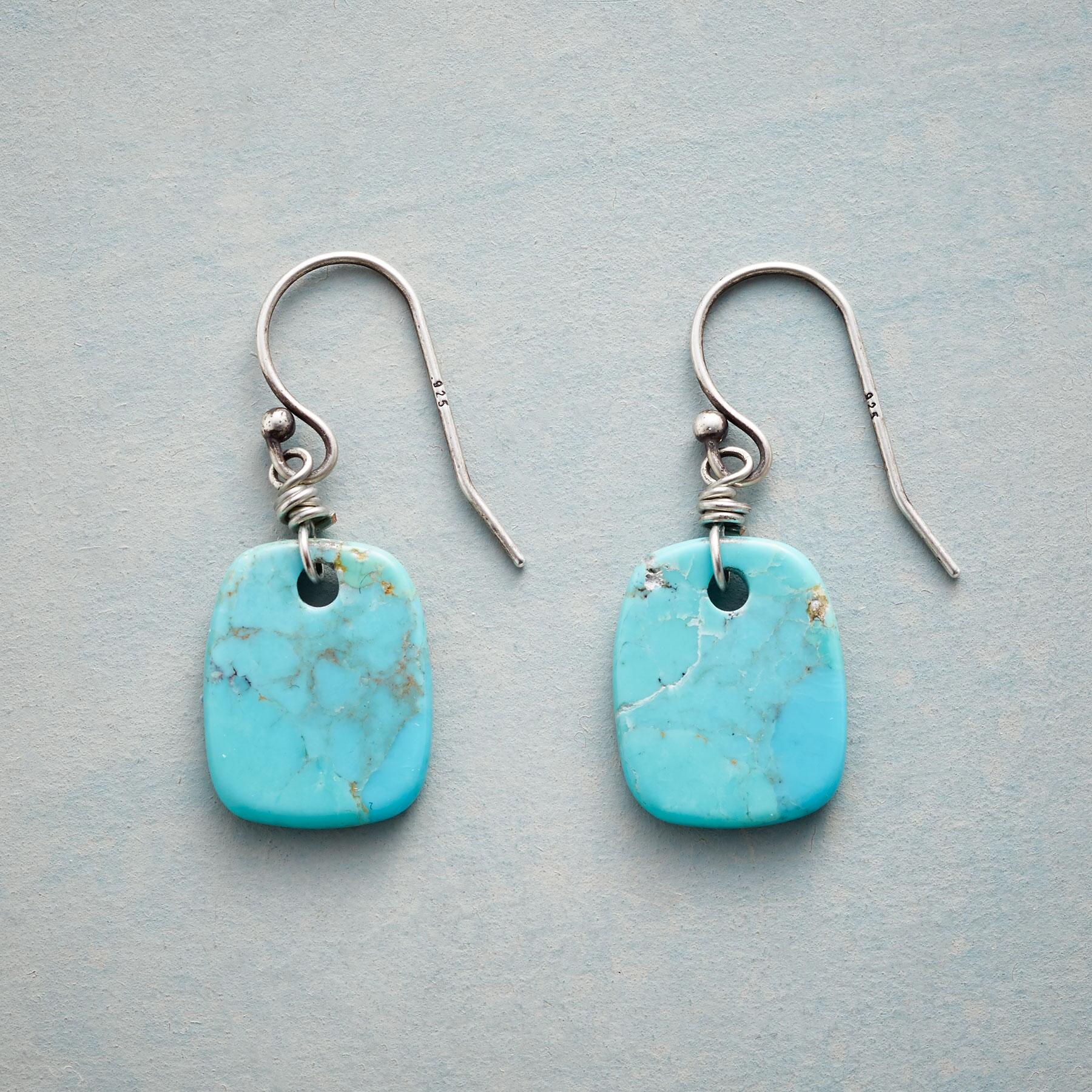 sundance-Nature's Art Turquoise Earrings-Sundance Outlet