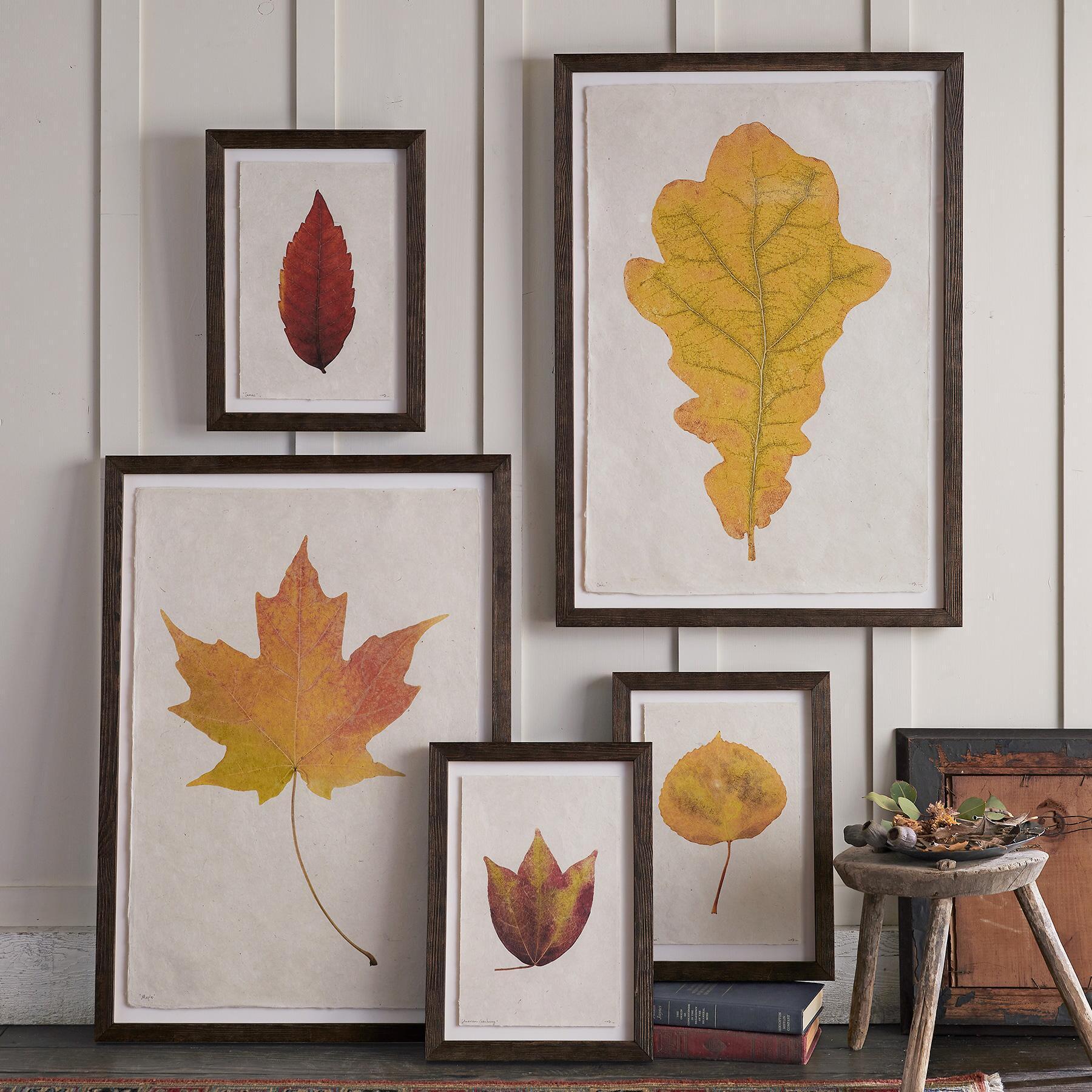 sundance-Leaf Studies Print-Sundance Outlet